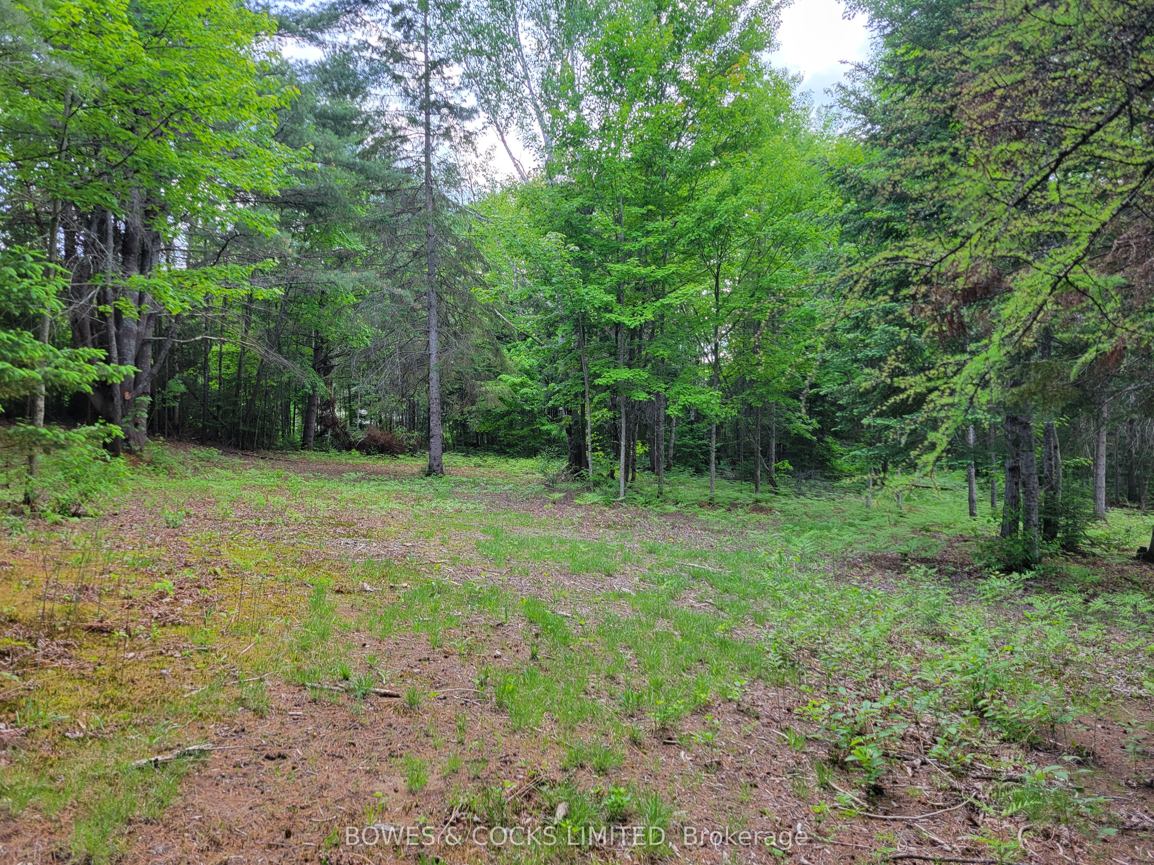 168 Airport Road Property Photo 10