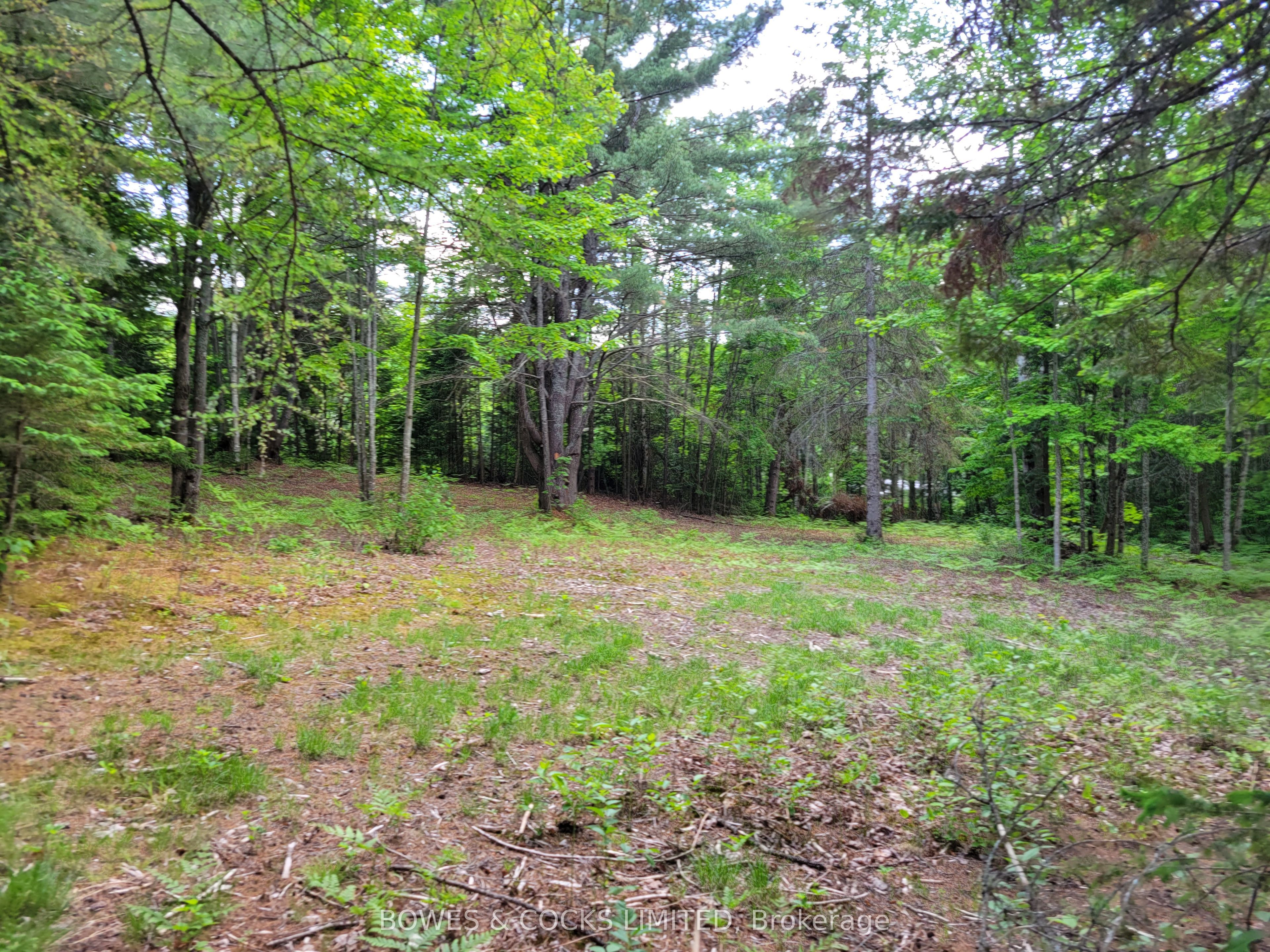 168 Airport Road Property Photo 11