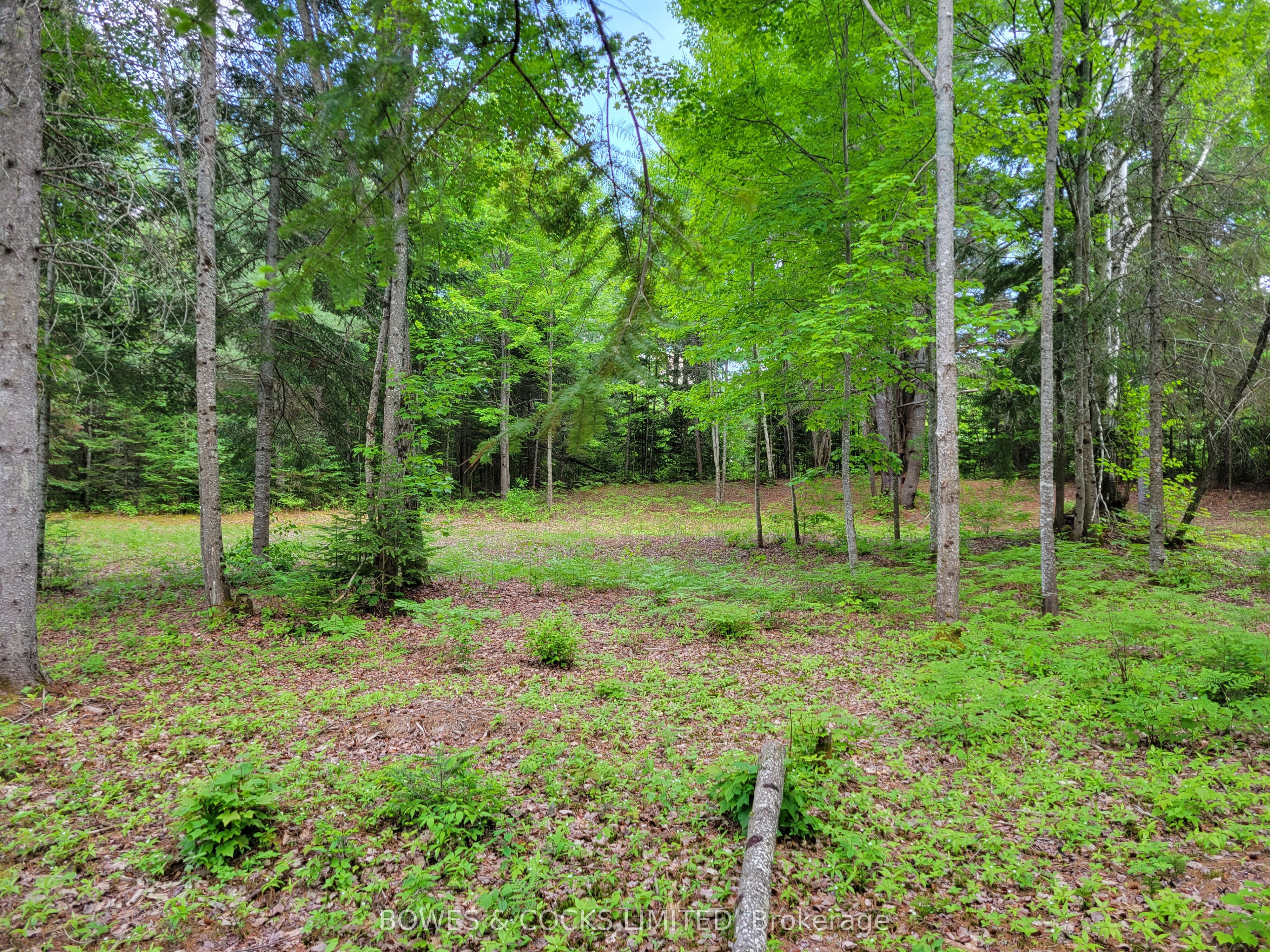 168 Airport Road Property Photo 12
