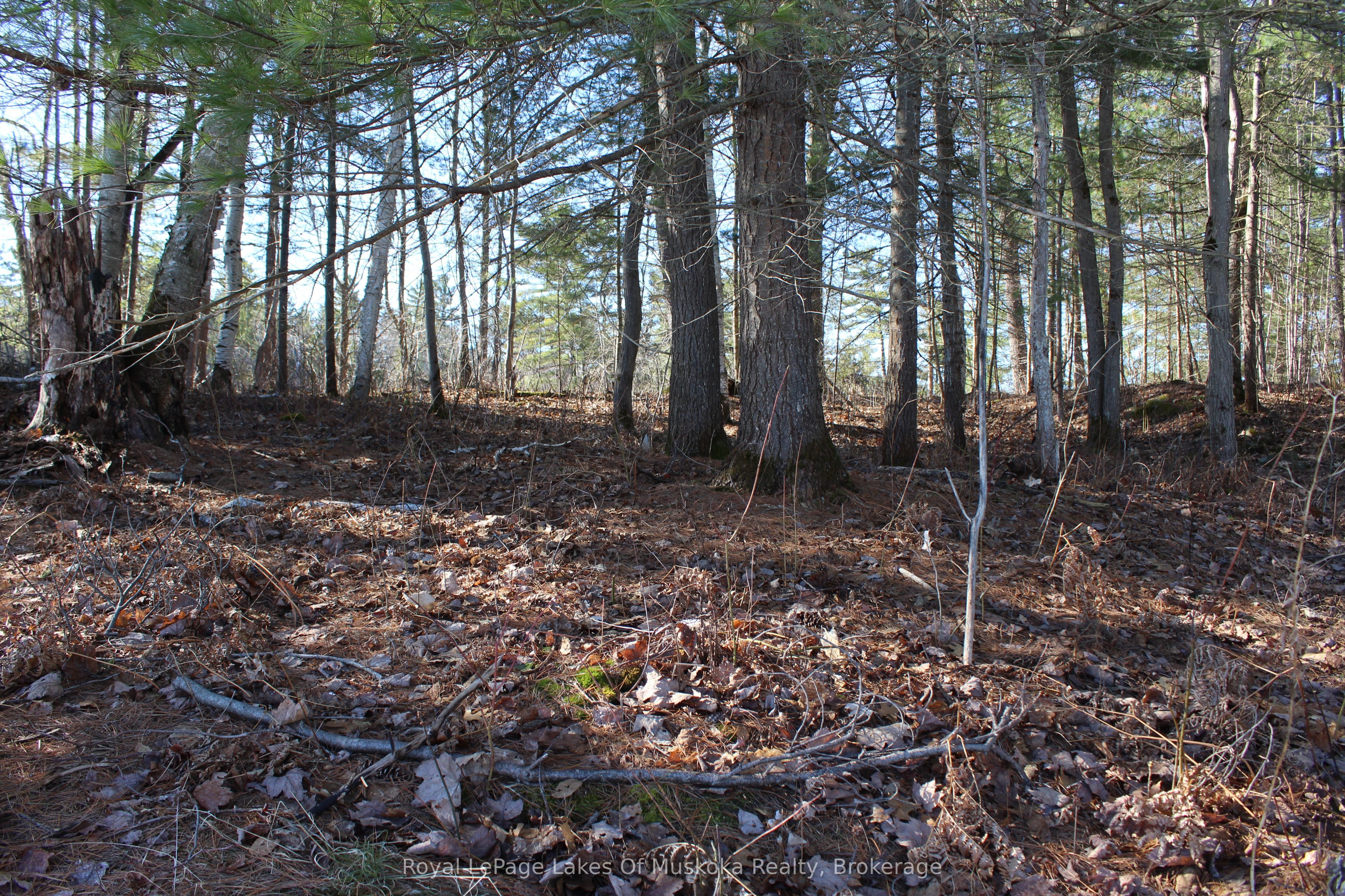 Pt Lts H&i Island 12sr Island Property Photo 6
