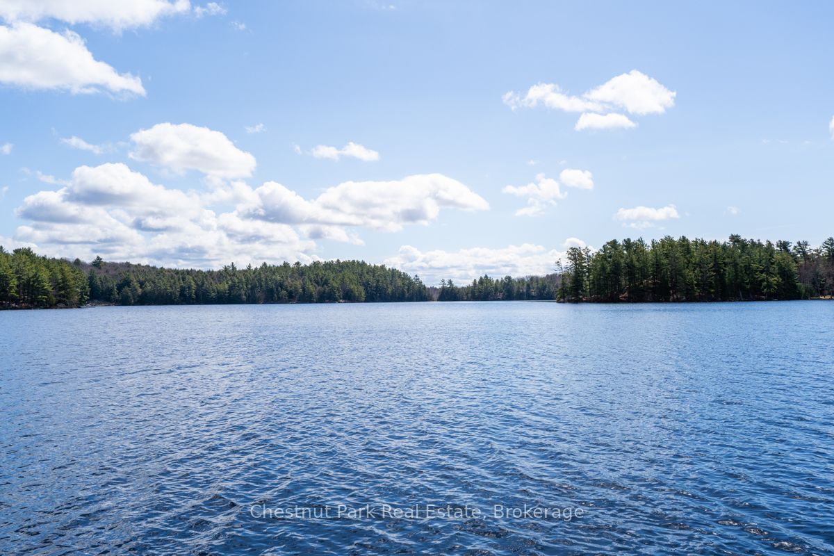 1384 Fish Hatchery Road Property Photo 34