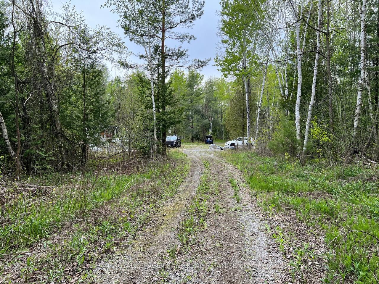 . Rutherford Road Property Photo
