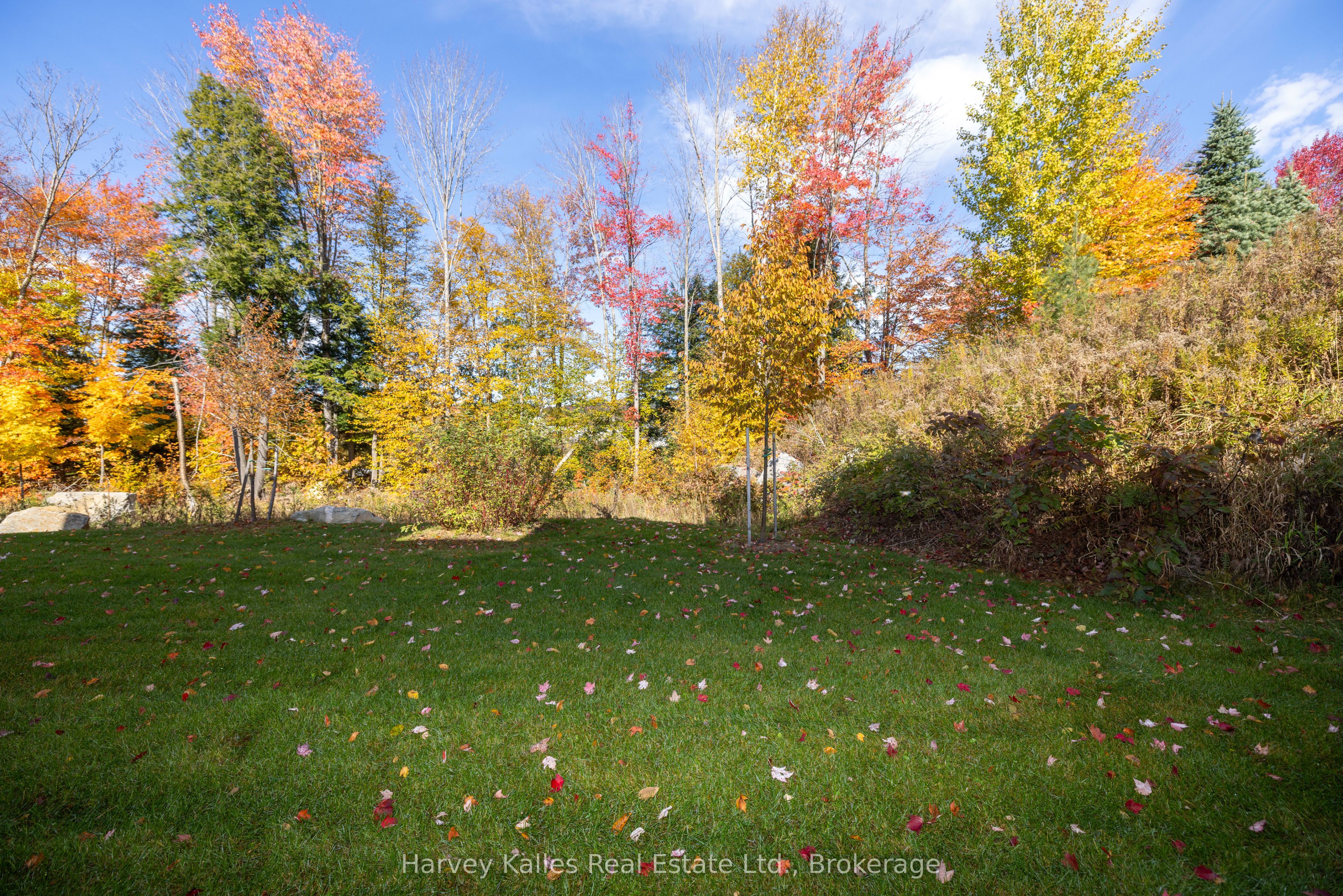 57 Jack Street Property Photo 6