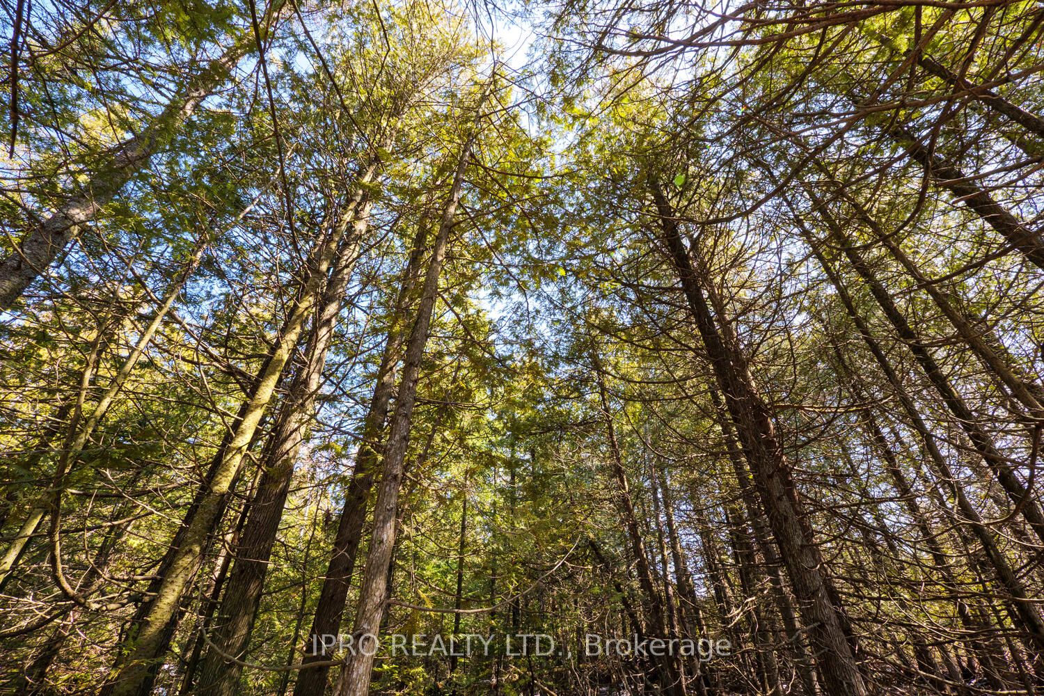 74 Big Tub Road Property Photo 24