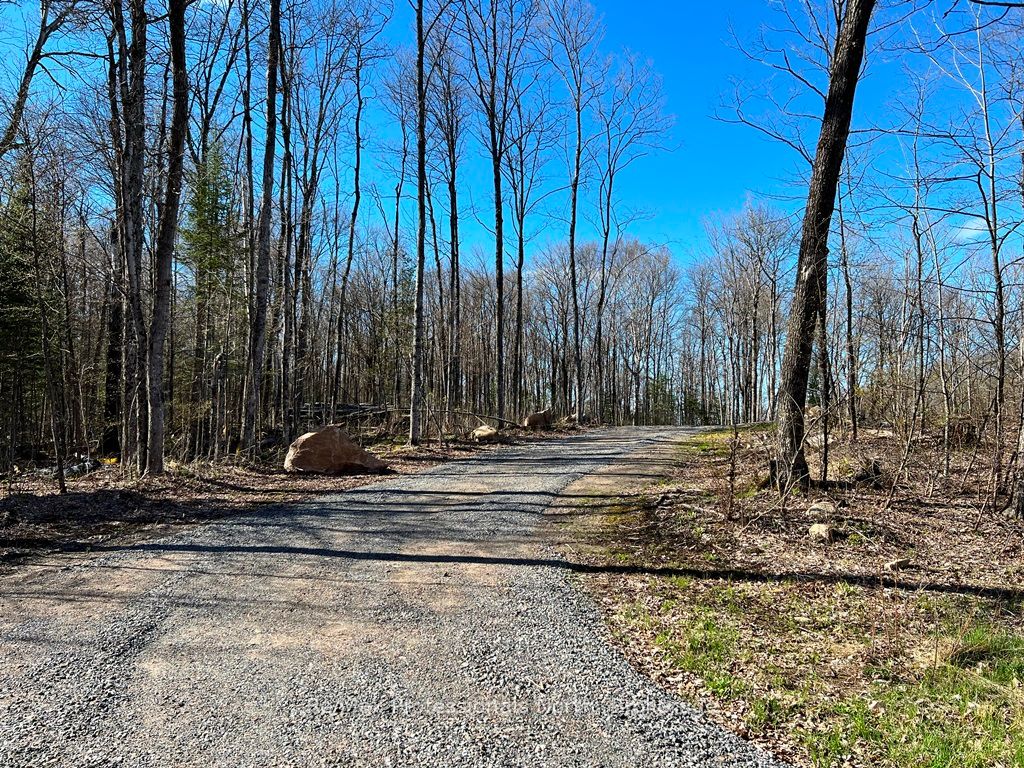 1199 Cedar Lake Road Property Photo