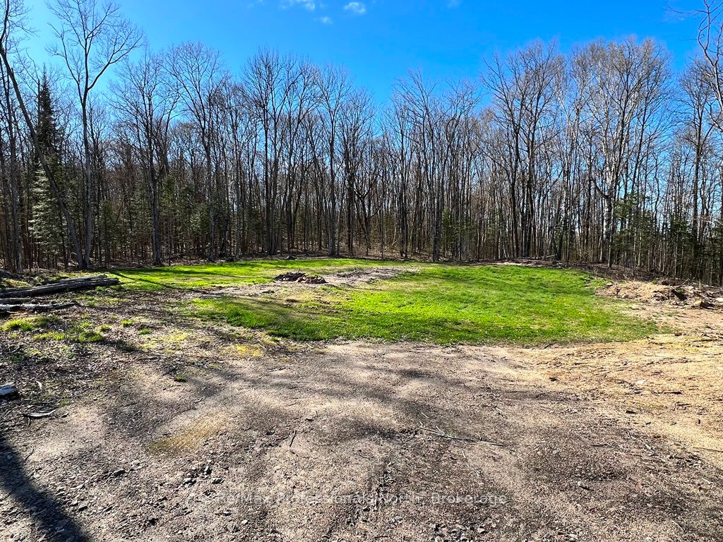 1199 Cedar Lake Road Property Photo 3