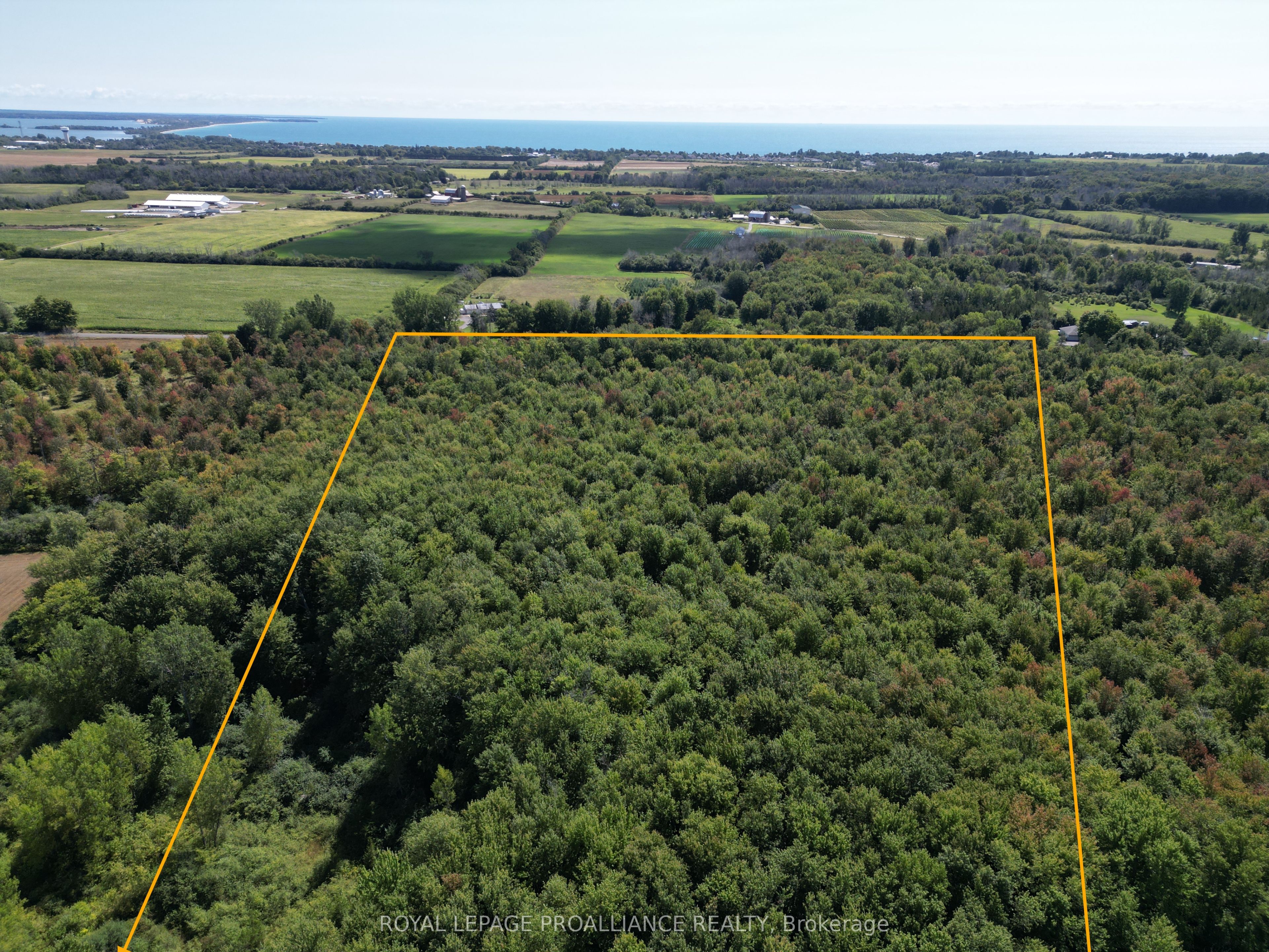 Pt Lt 5 Swamp College Road Property Photo 4
