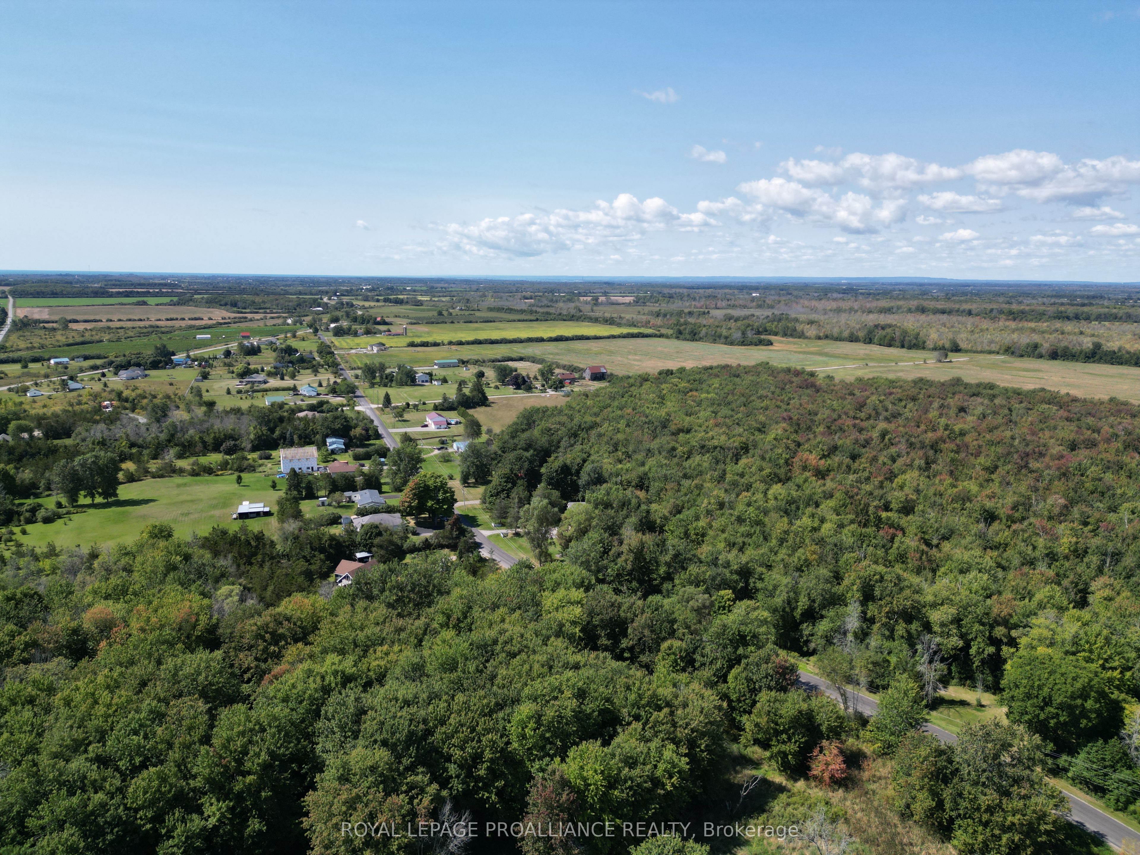 Pt Lt 5 Swamp College Road Property Photo 5