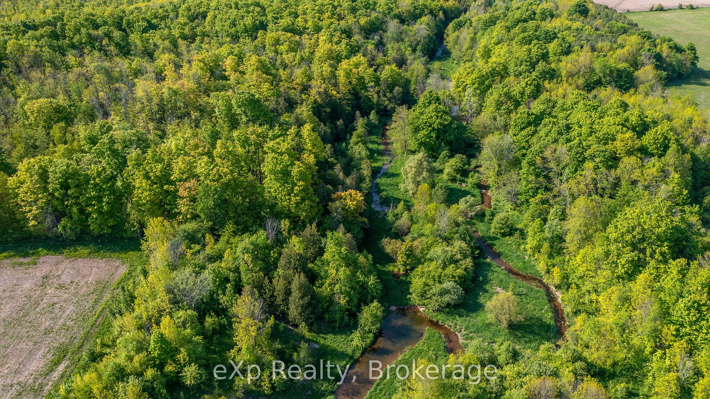E 1/2 Lt 29-30 Con 4; Sideroad 30 Property Photo 12