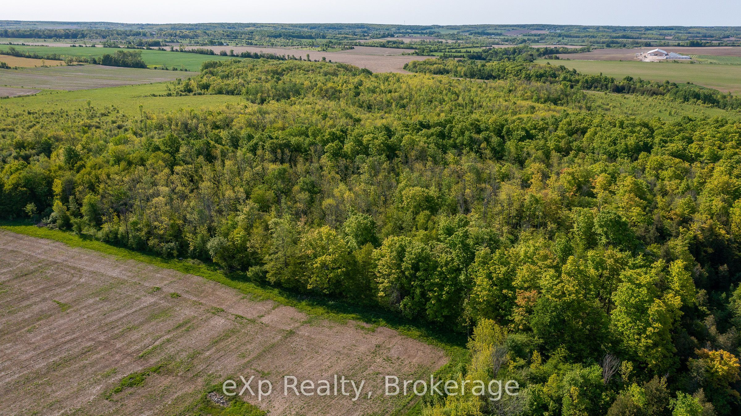 E 1/2 Lt 29-30 Con 4; Sideroad 30 Property Photo 13