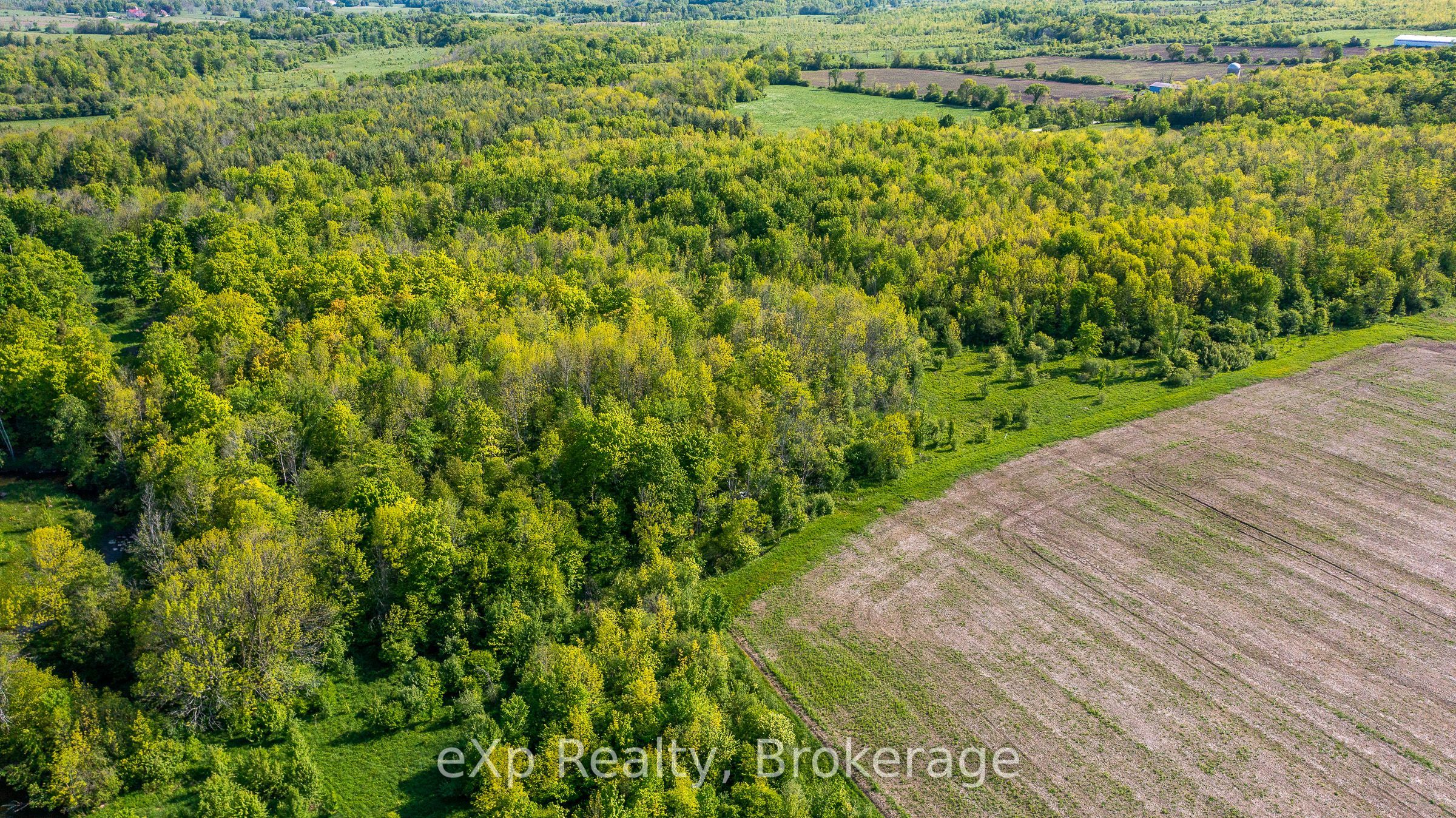 E 1/2 Lt 29-30 Con 4; Sideroad 30 Property Photo 15