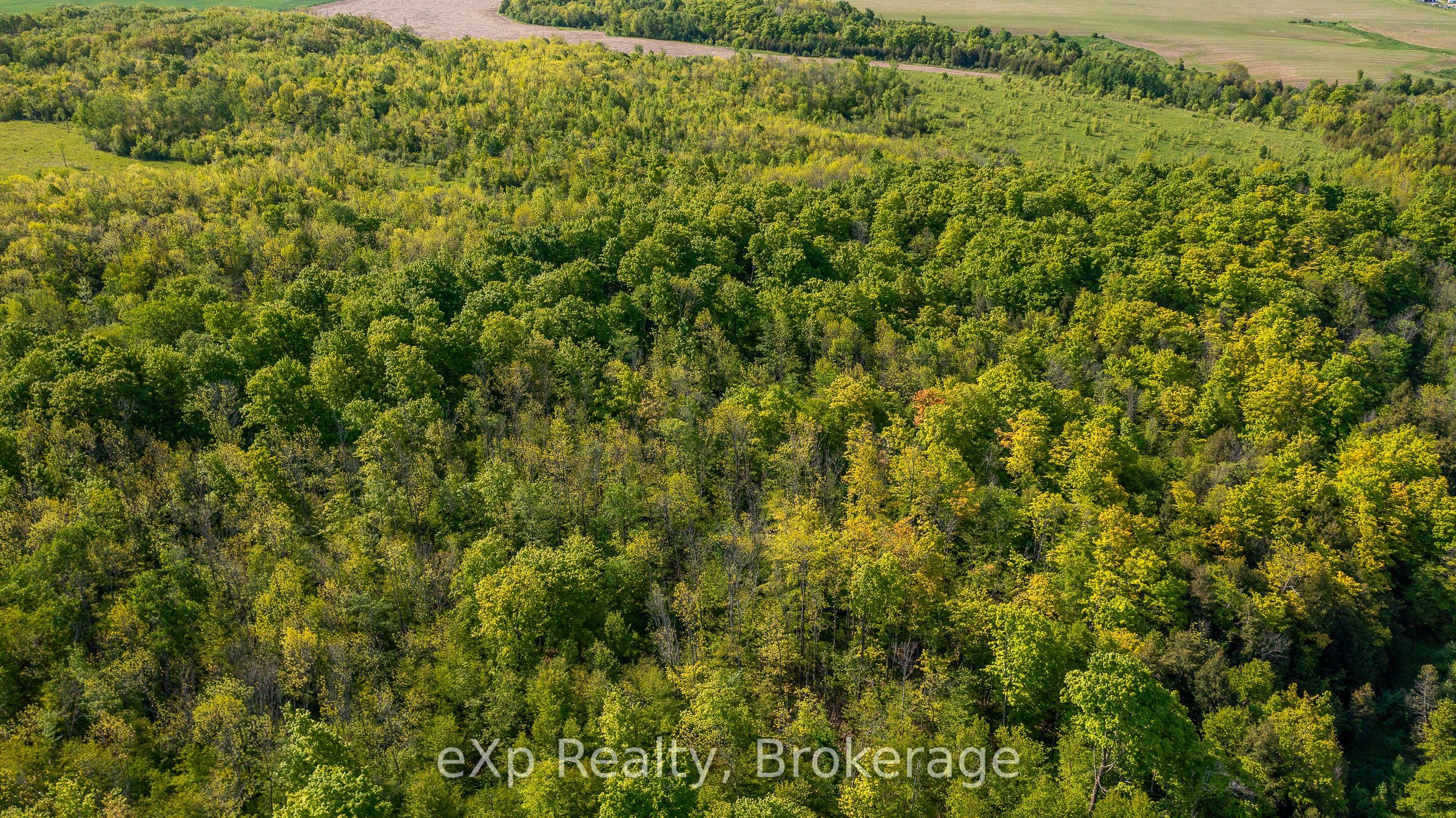 E 1/2 Lt 29-30 Con 4; Sideroad 30 Property Photo 16