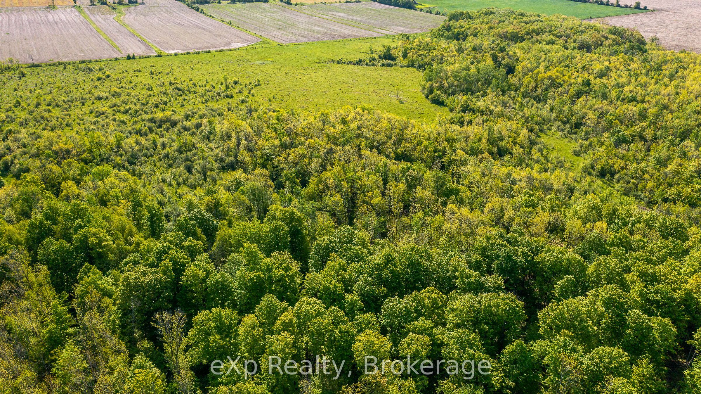 E 1/2 Lt 29-30 Con 4; Sideroad 30 Property Photo 18