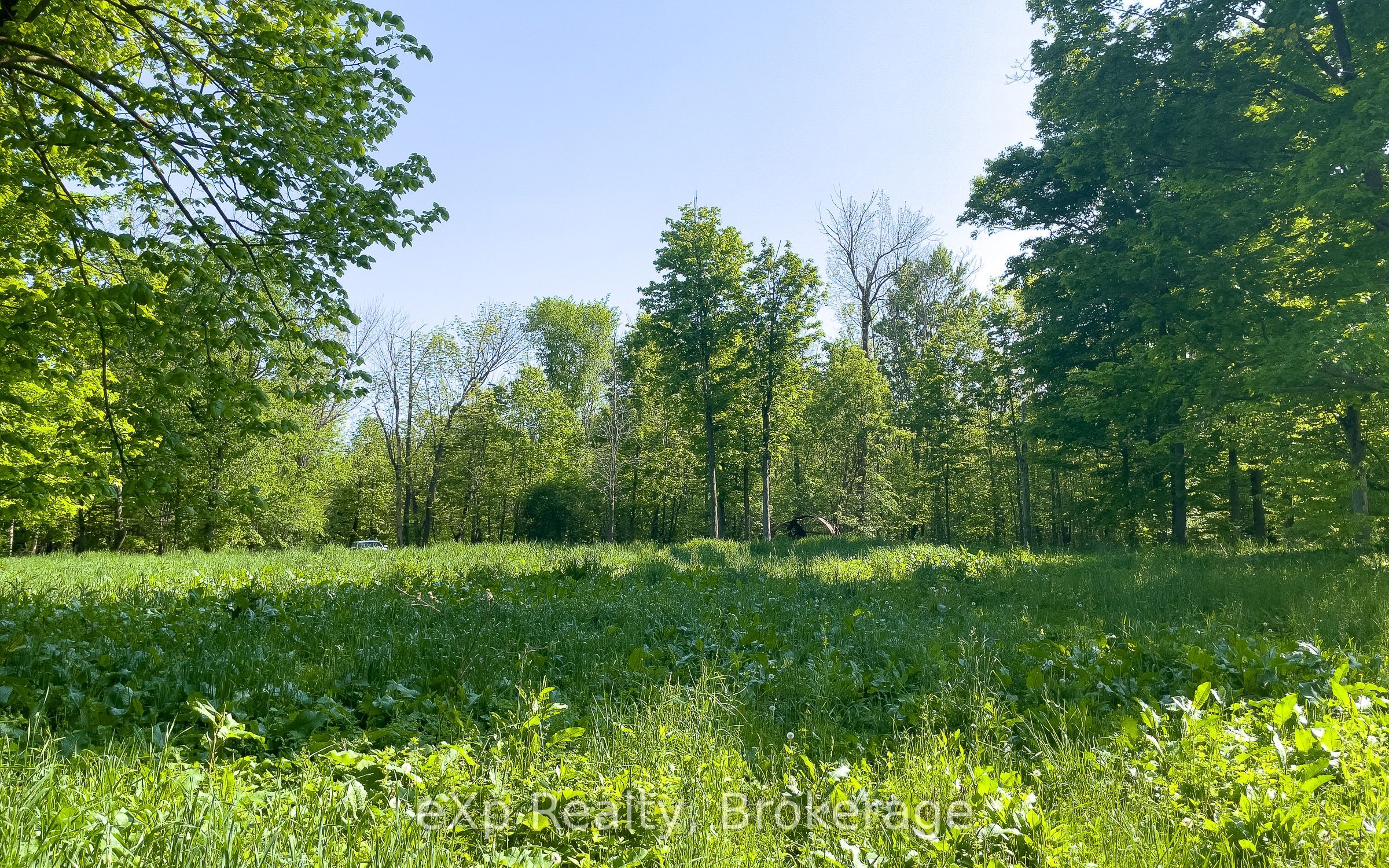 E 1/2 Lt 29-30 Con 4; Sideroad 30 Property Photo 36
