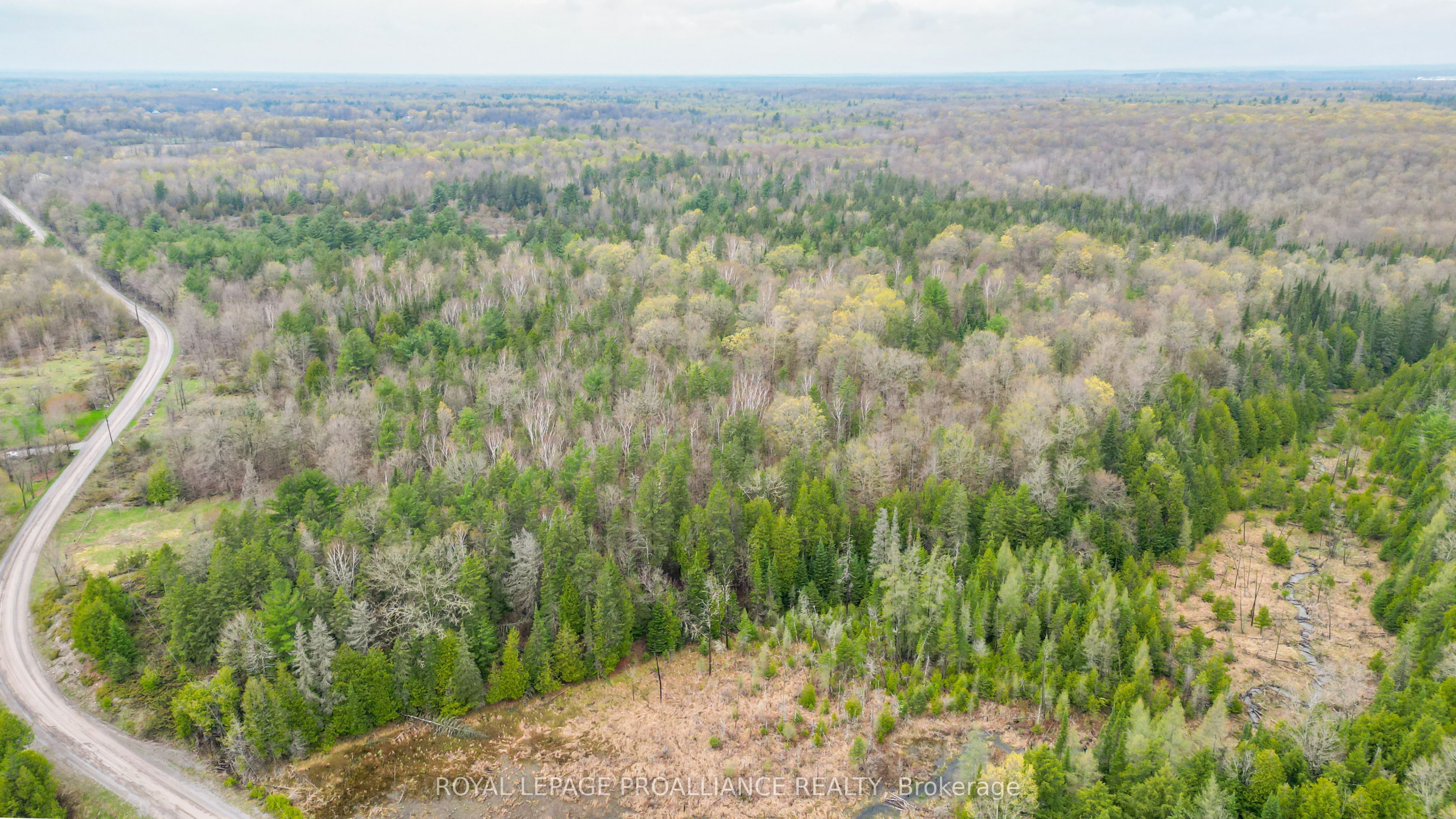 0 Spry Settlement Road Property Photo