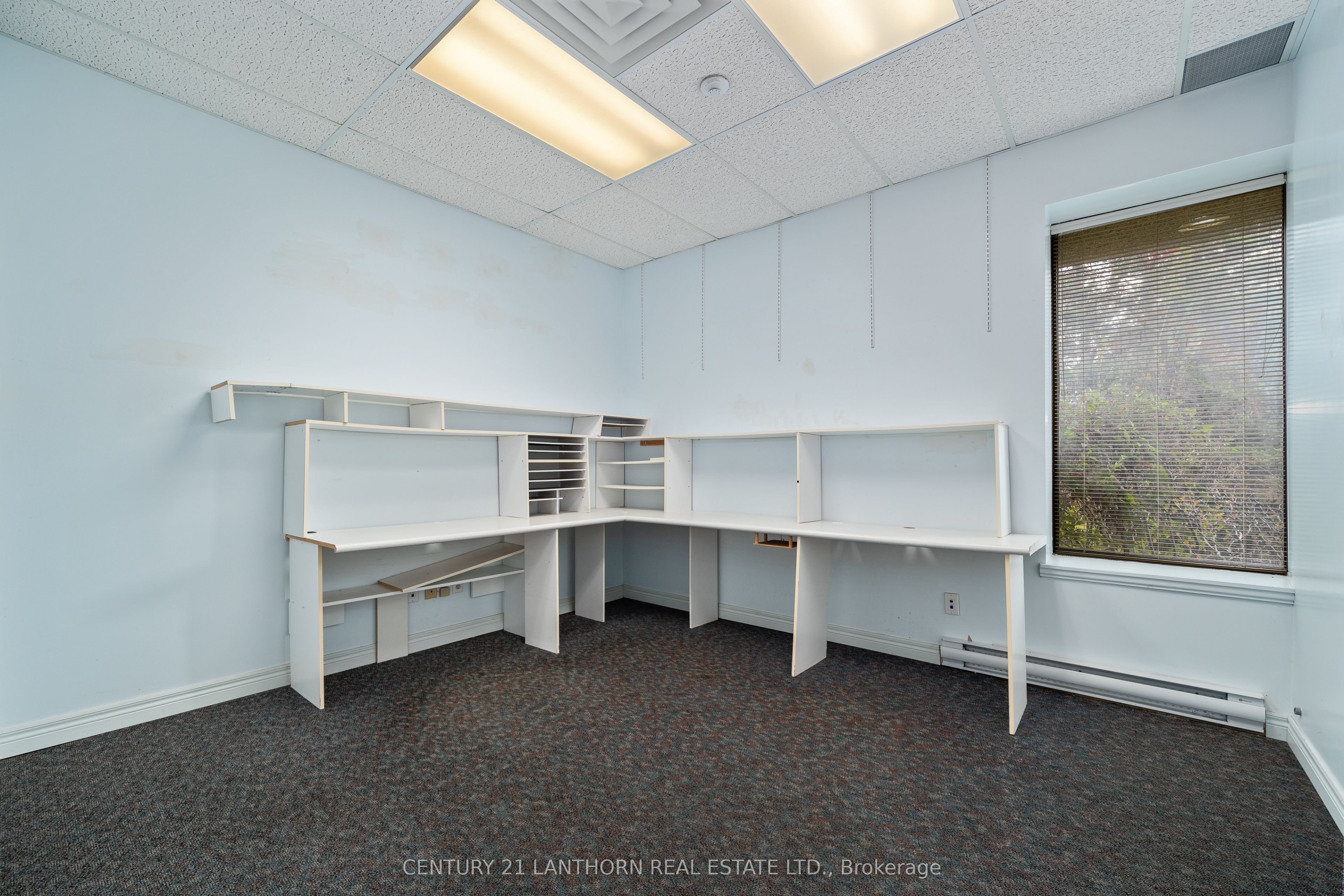 389 Picton Main Street Property Photo 11