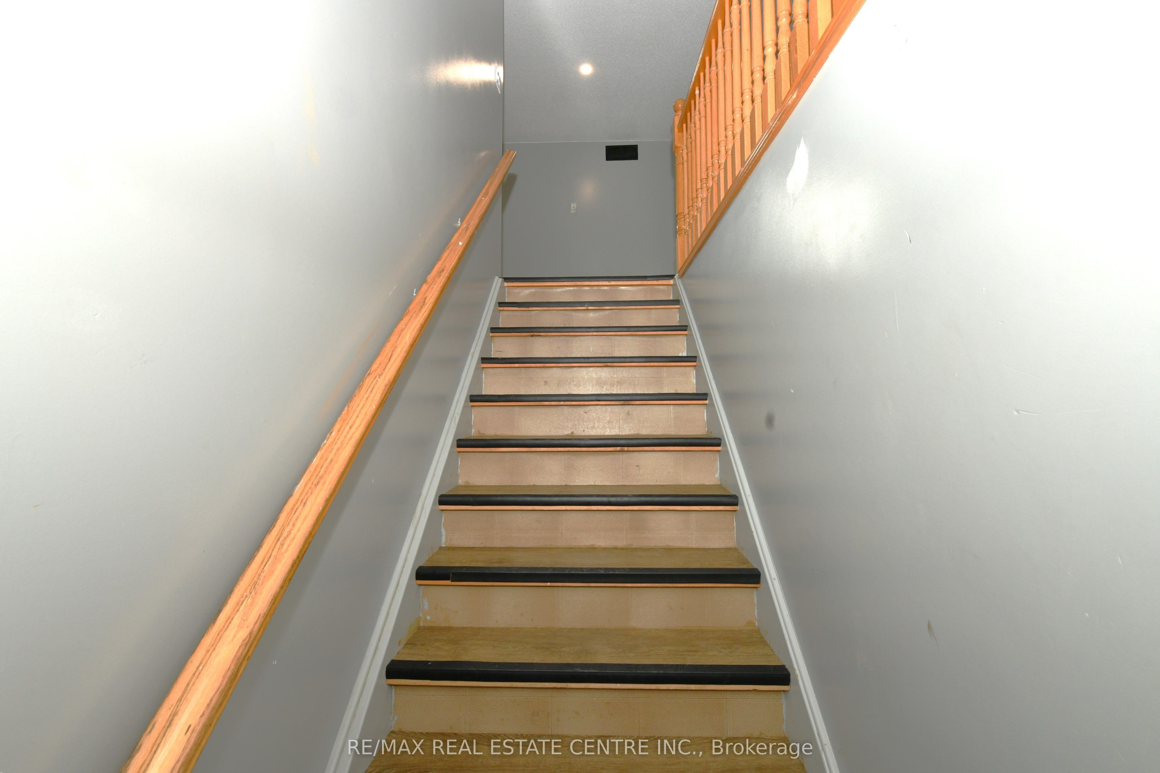 65 Maitland Terrace Property Photo 20