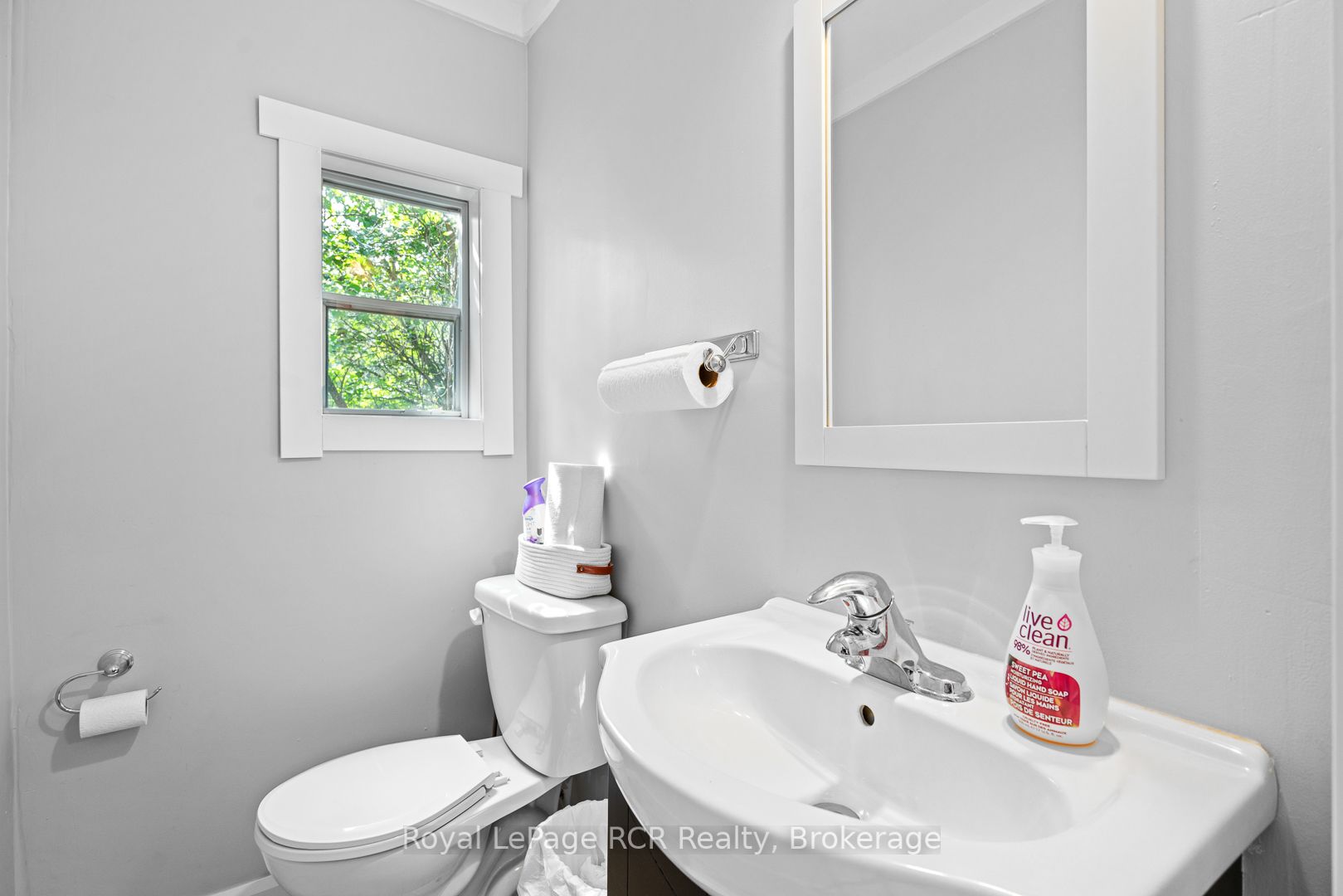 302769 Douglas Street Property Photo 23
