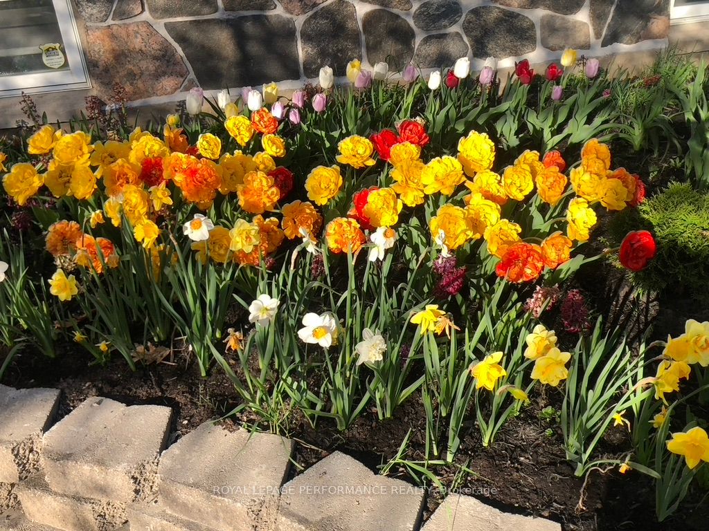 1371 Victoria Street Property Photo 49