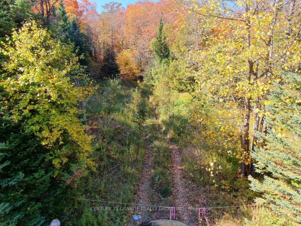 Bancroft Real Estate Listings Main Image