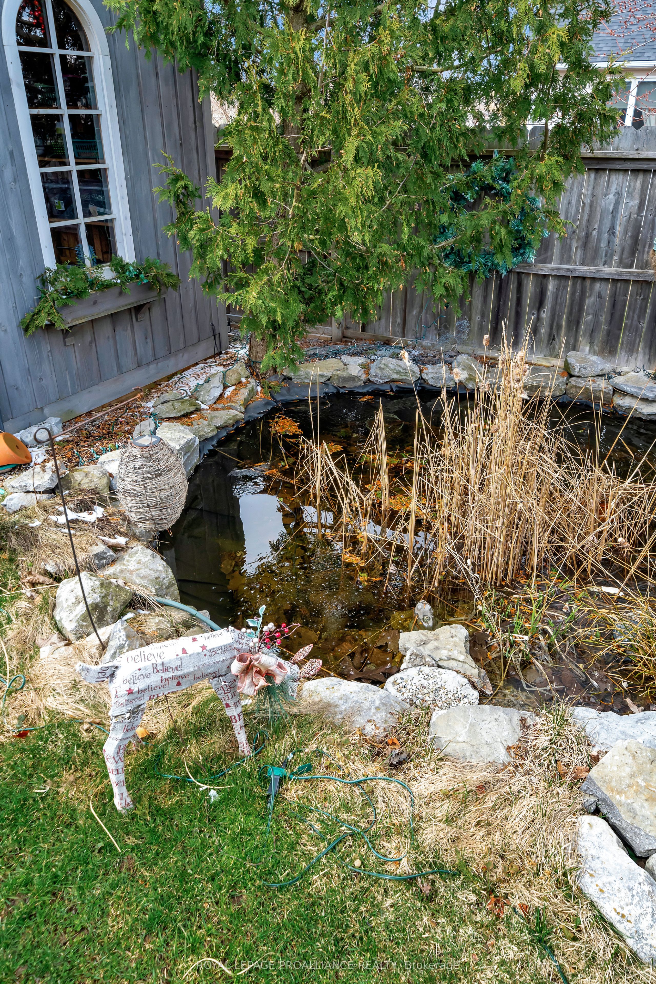 39 Owen Street Property Photo 29