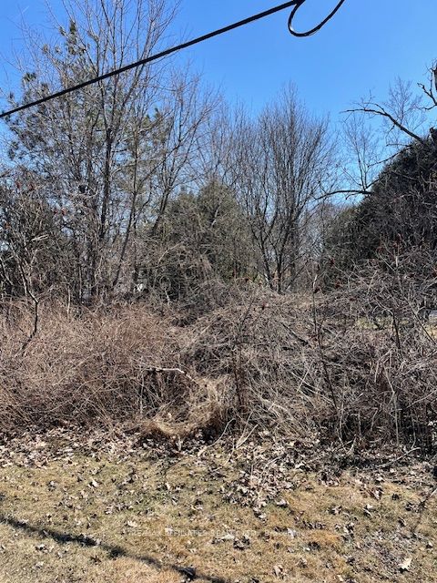 X Old Montreal Road Property Photo 12