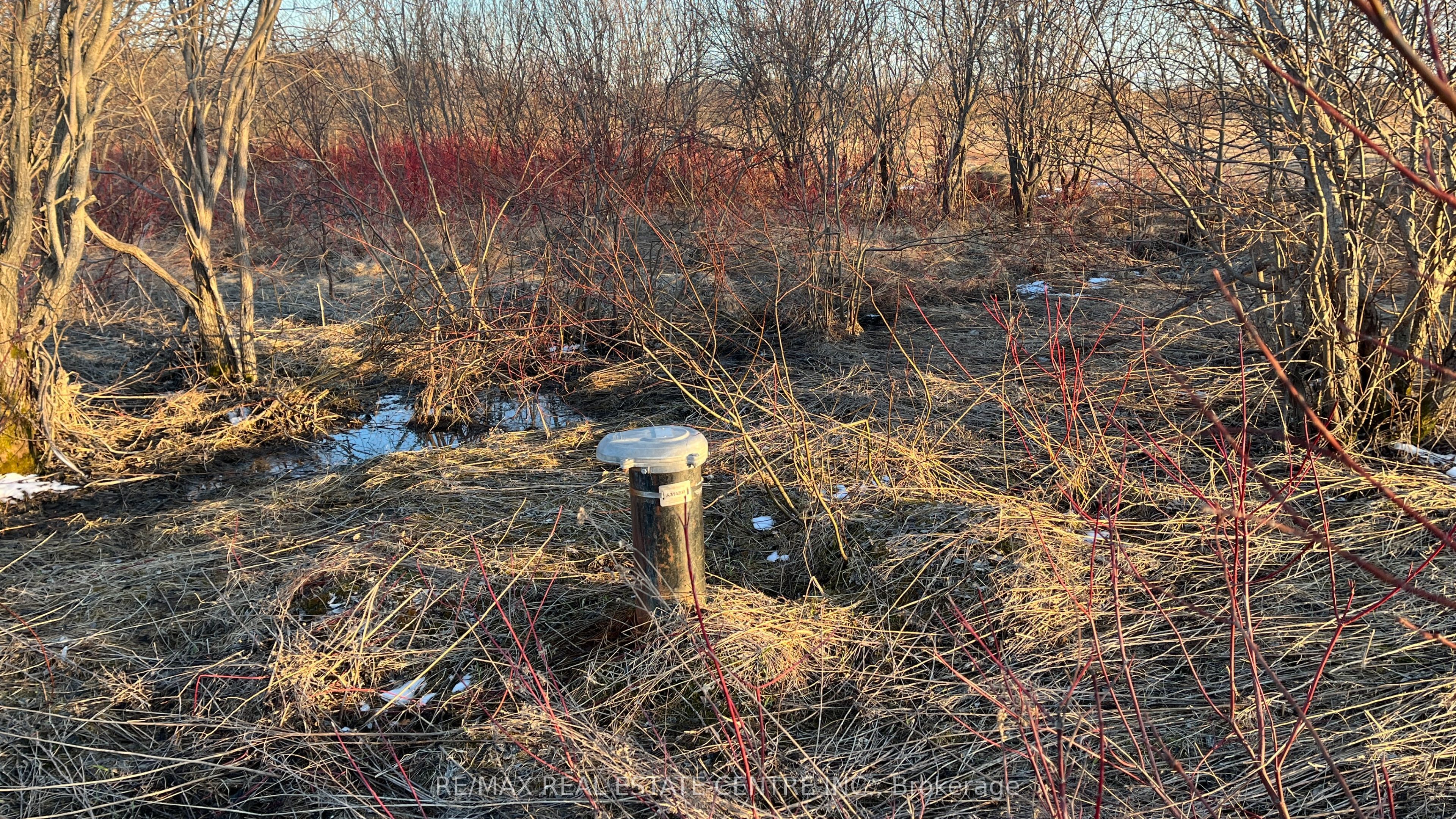 681124 260th Sideroad Property Photo