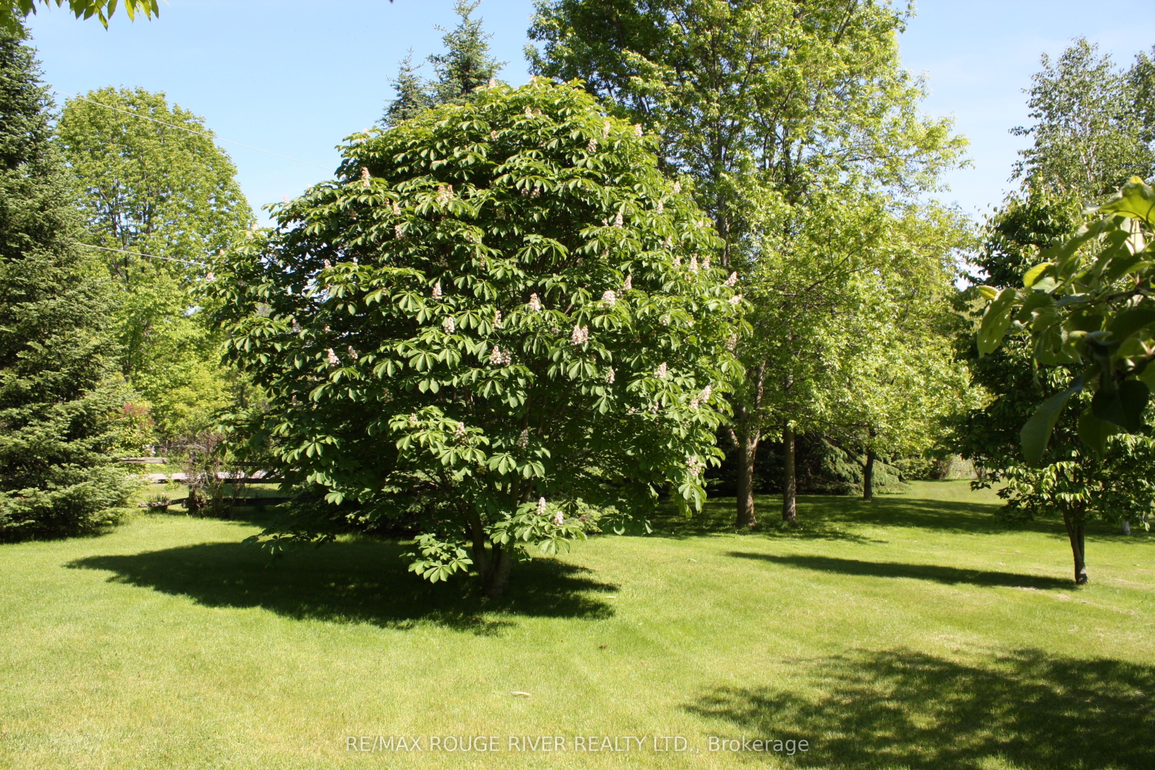 412 Barnum House Road Property Photo 39