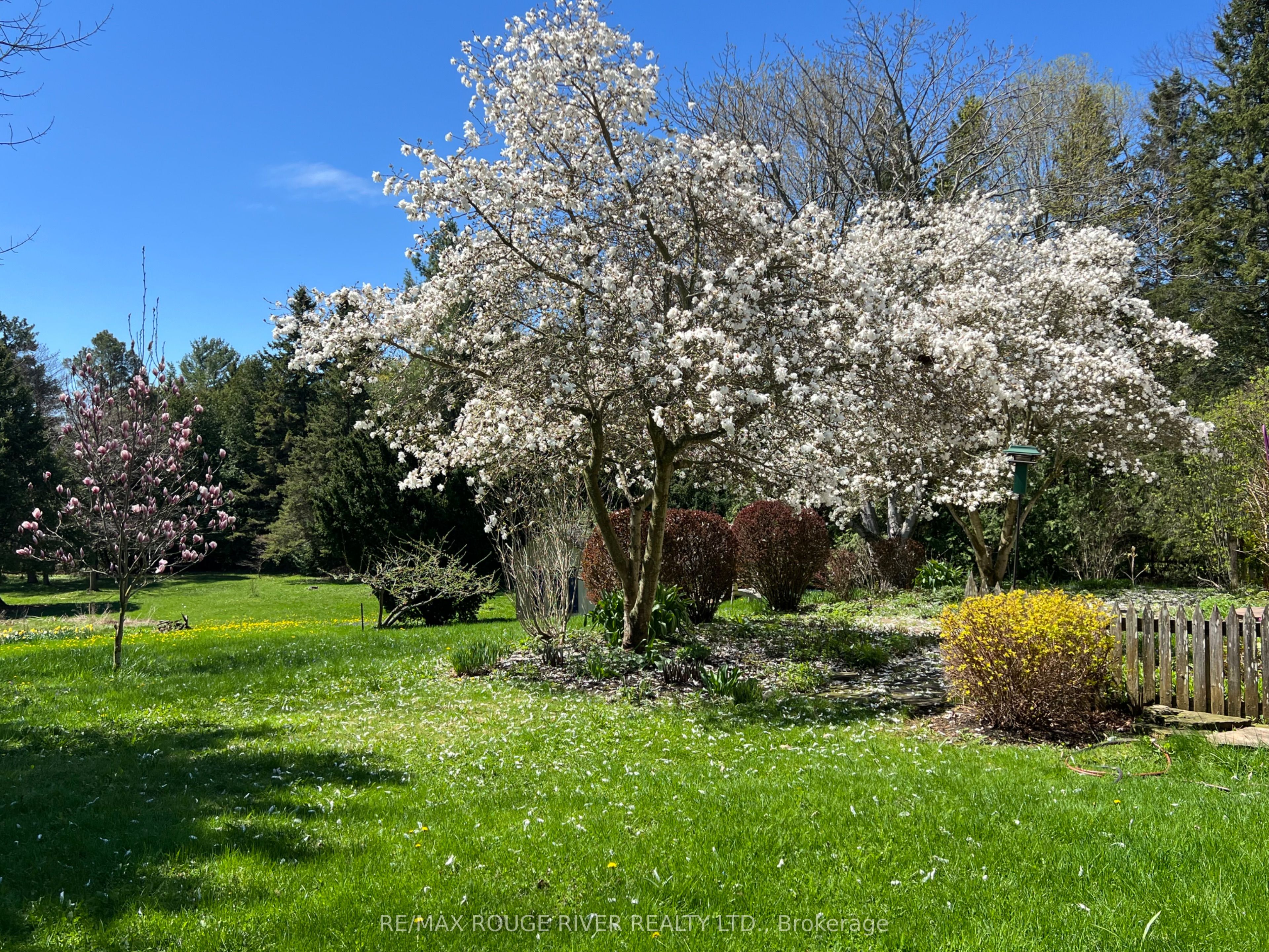 412 Barnum House Road Property Photo 46