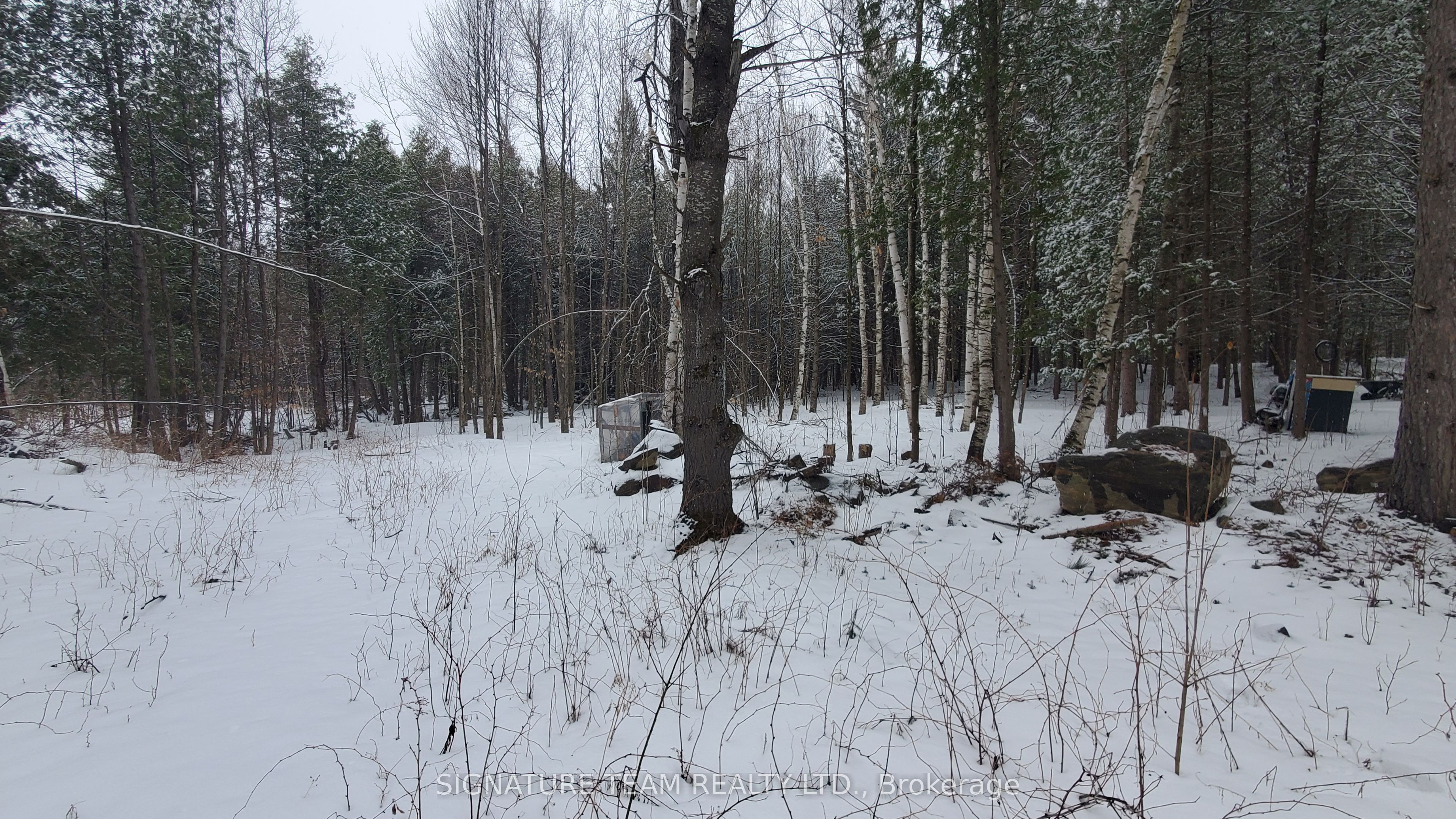 3155 Mountain View Road Property Photo 7