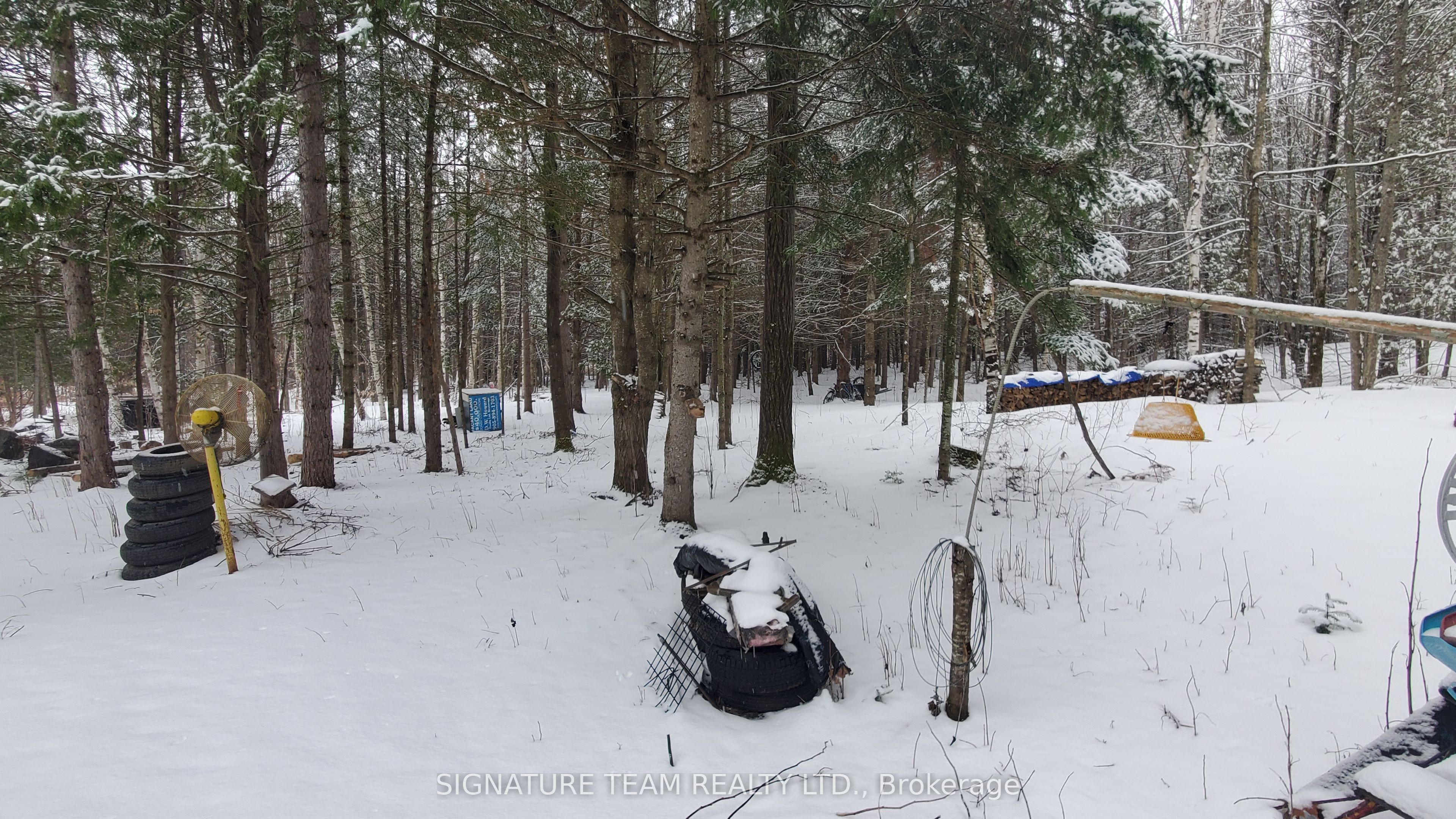 3155 Mountain View Road Property Photo 8