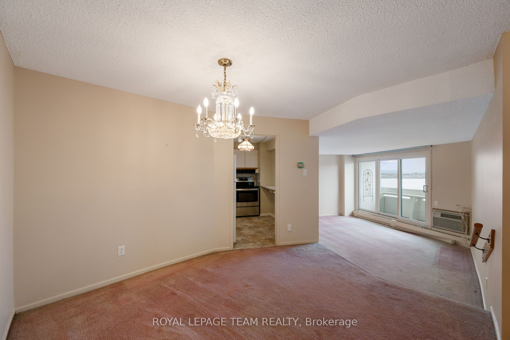 1081 Ambleside Drive 1101 Property Photo 7