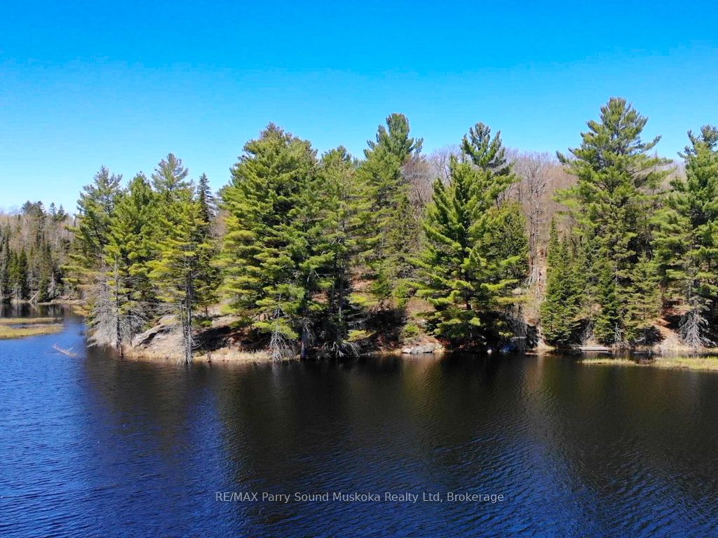 Lot 34 Hwy 520 Property Photo