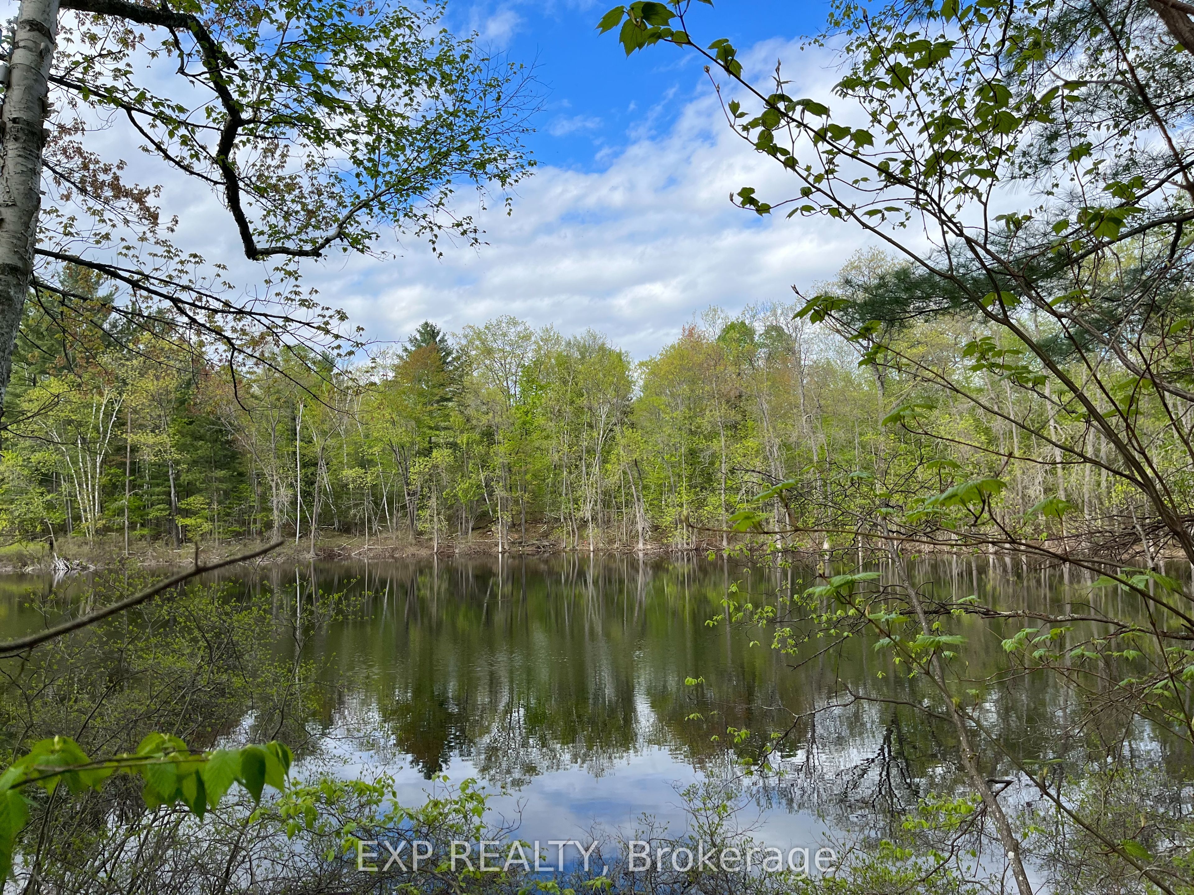 Lot 4 Sandy Shores Trail Property Photo
