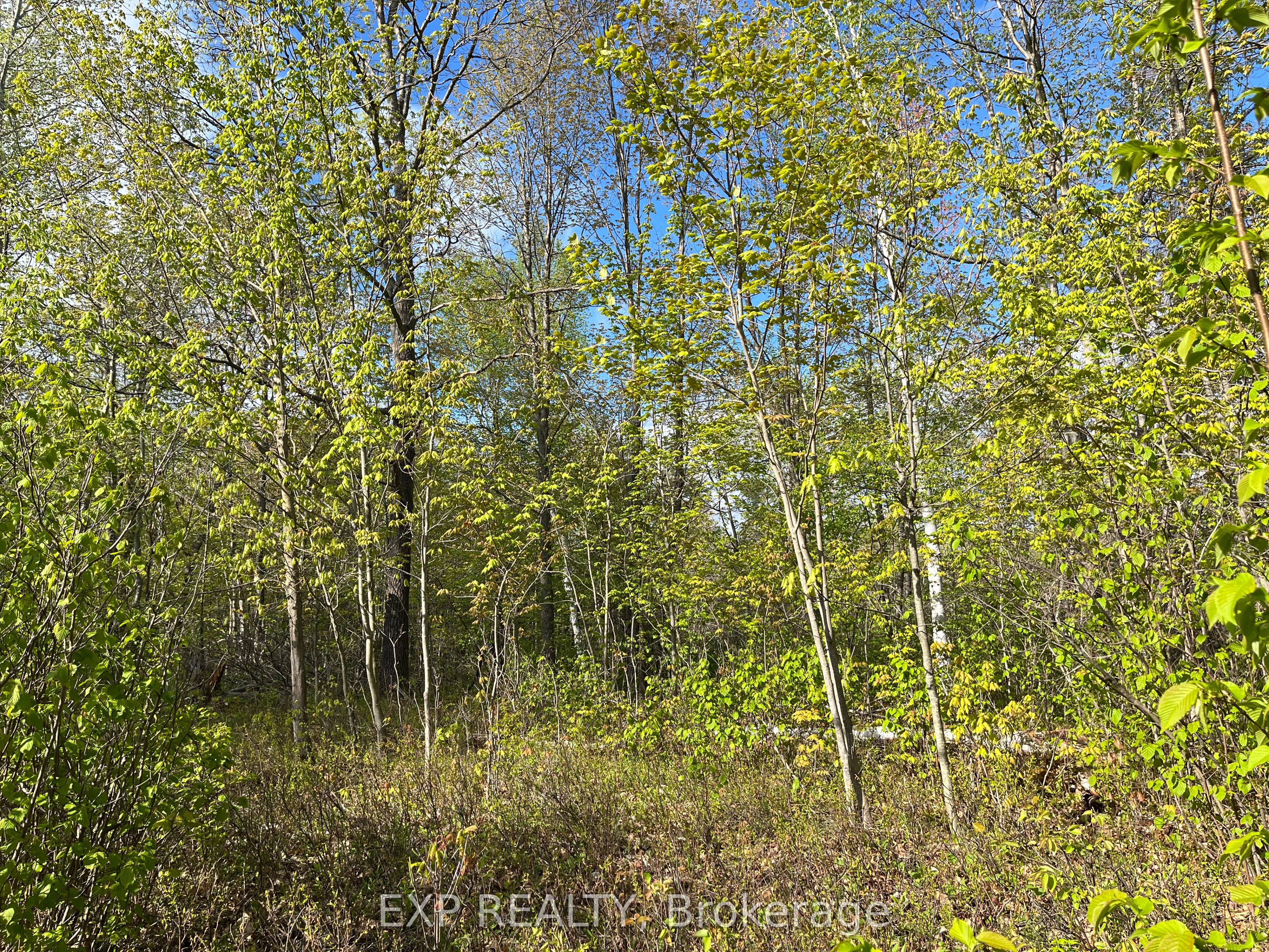Lot 6 Casson Trail Property Photo