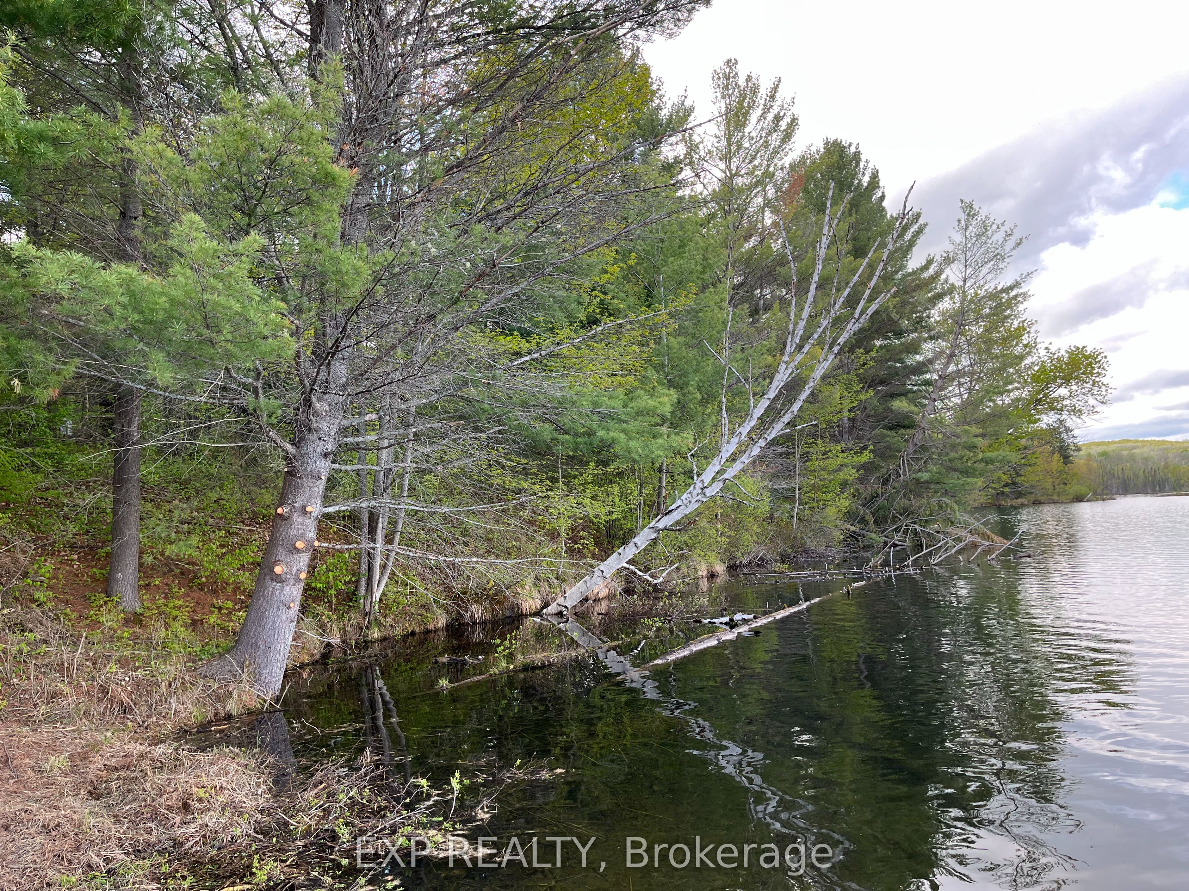 Lot 13 Sandy Shores Trail Property Photo