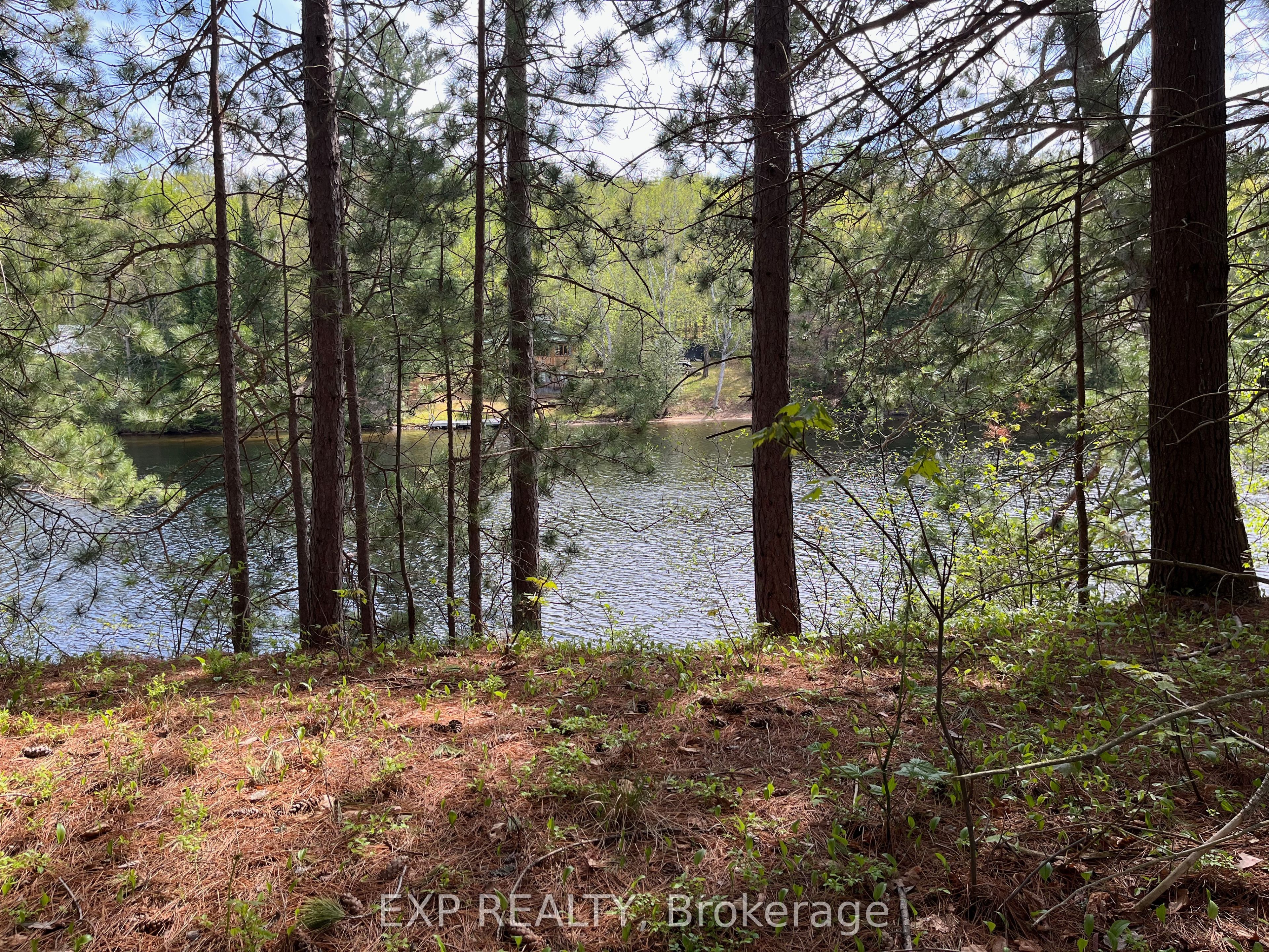 Lot 29 Sandy Shores Trail Property Photo