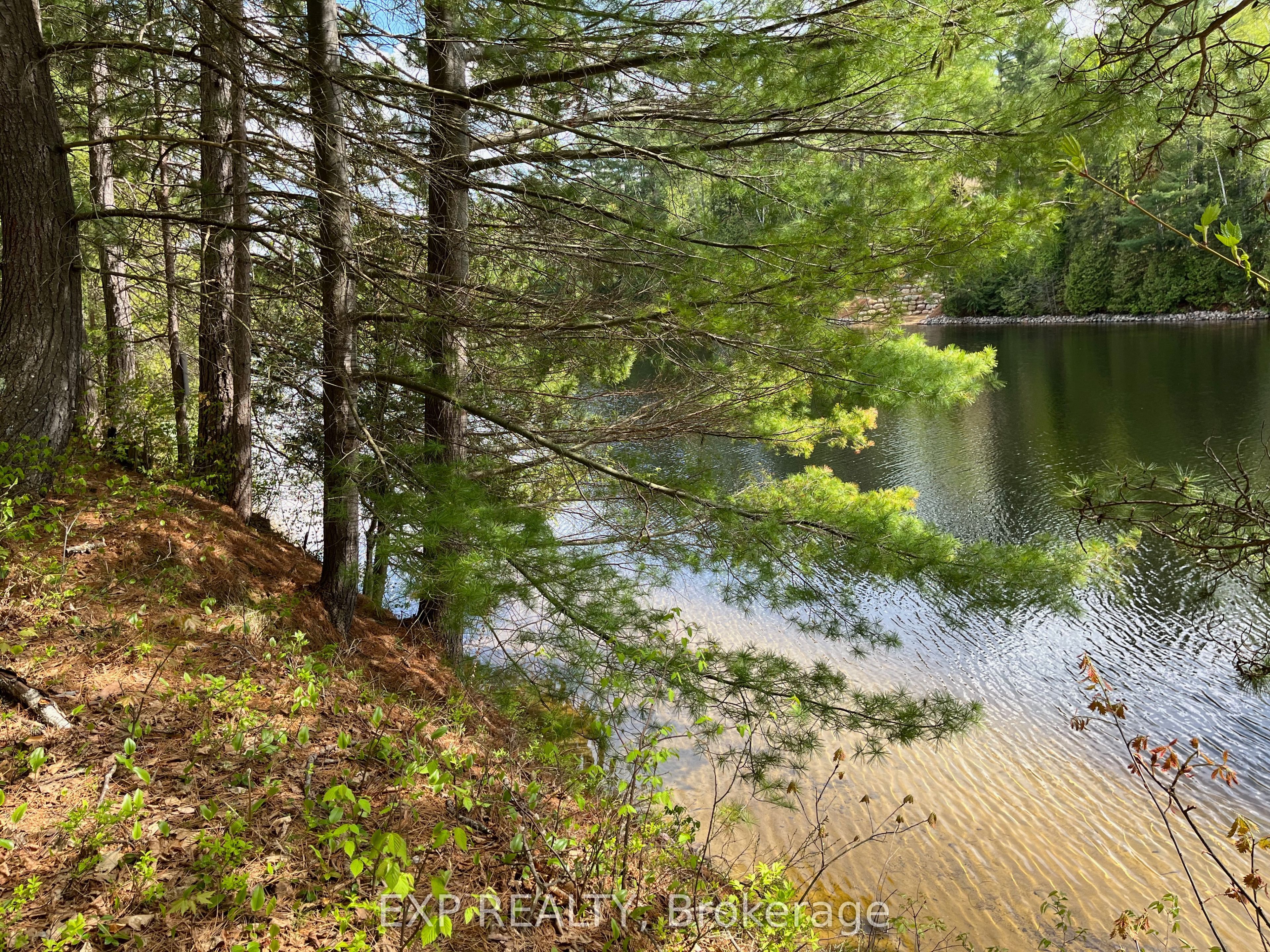 Lot 35 Sandy Shores Trail Property Photo