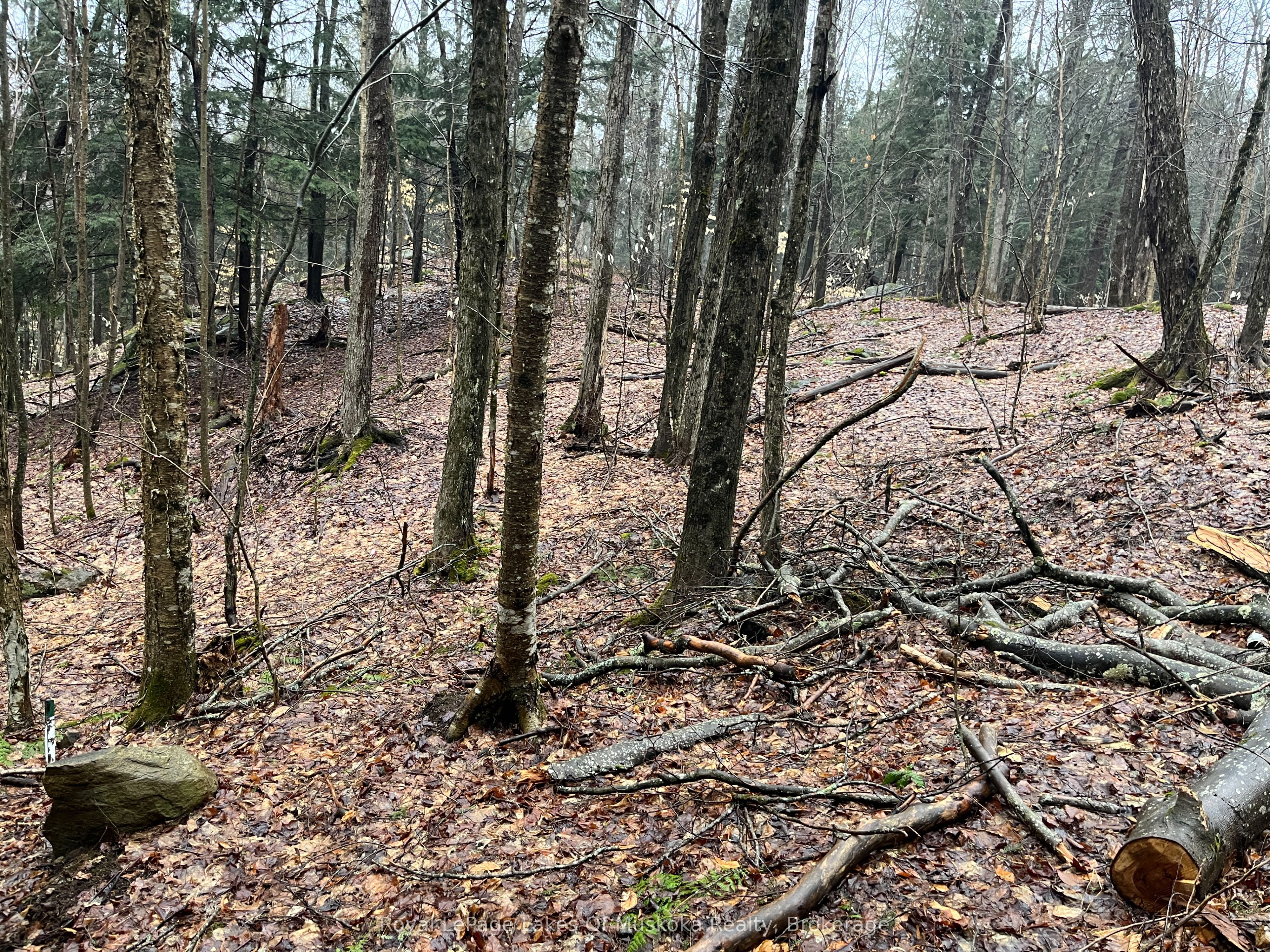 Lot 90 Lookout Point Road Property Photo 2
