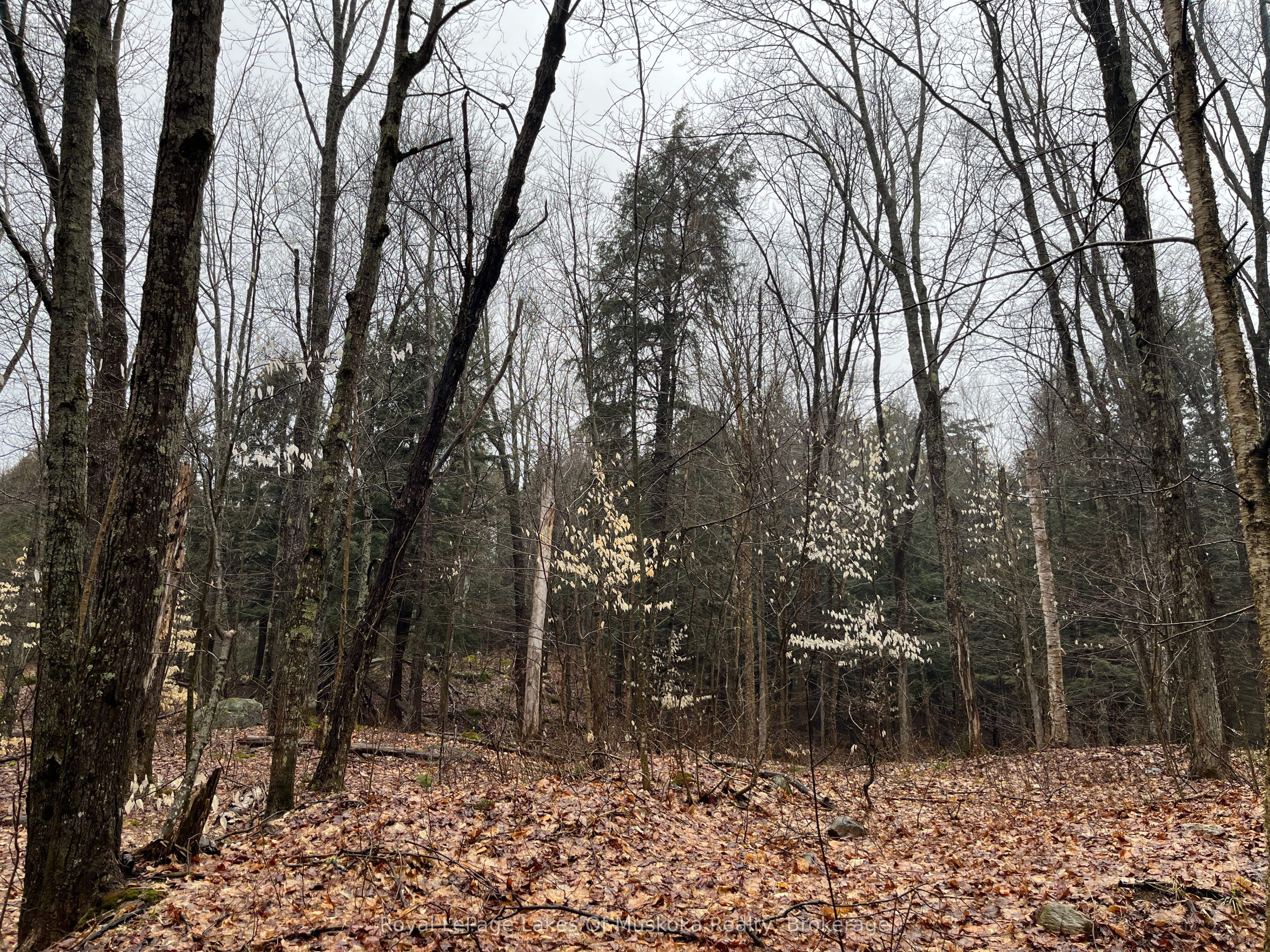 Lot 90 Lookout Point Road Property Photo 3