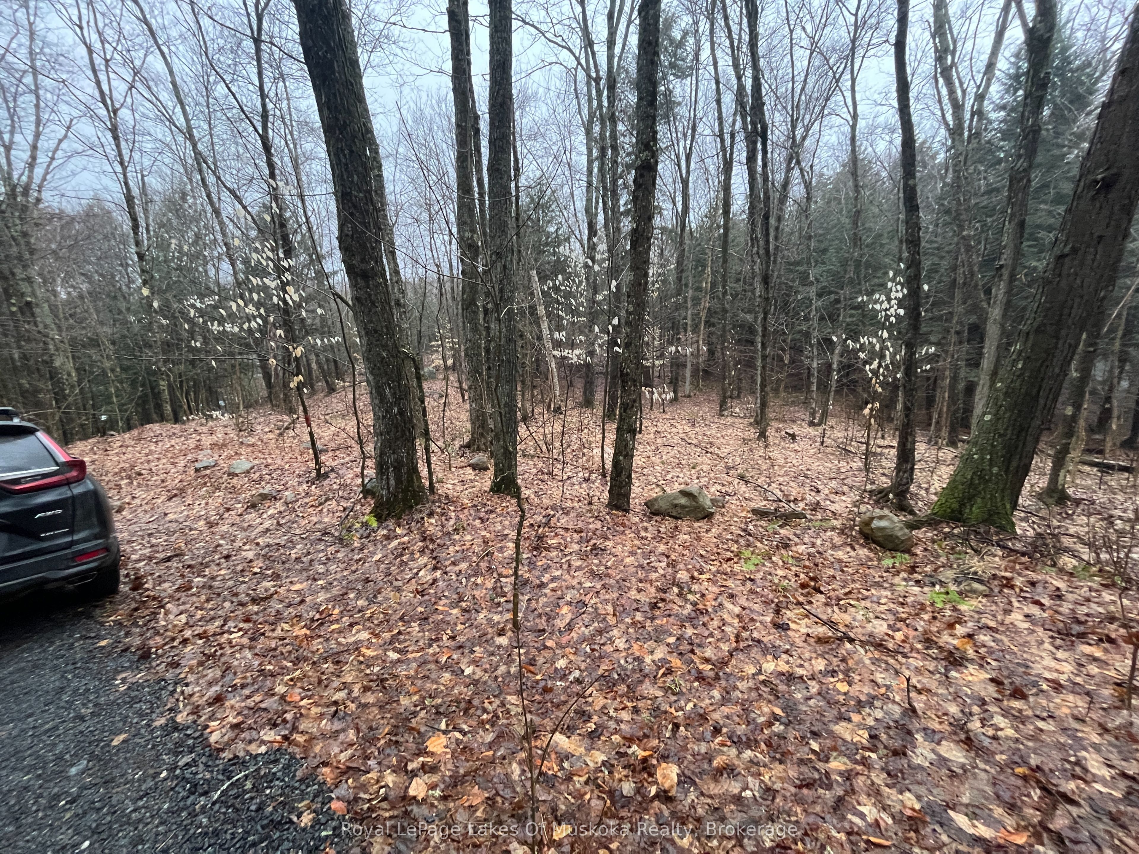 Lot 90 Lookout Point Road Property Photo 4