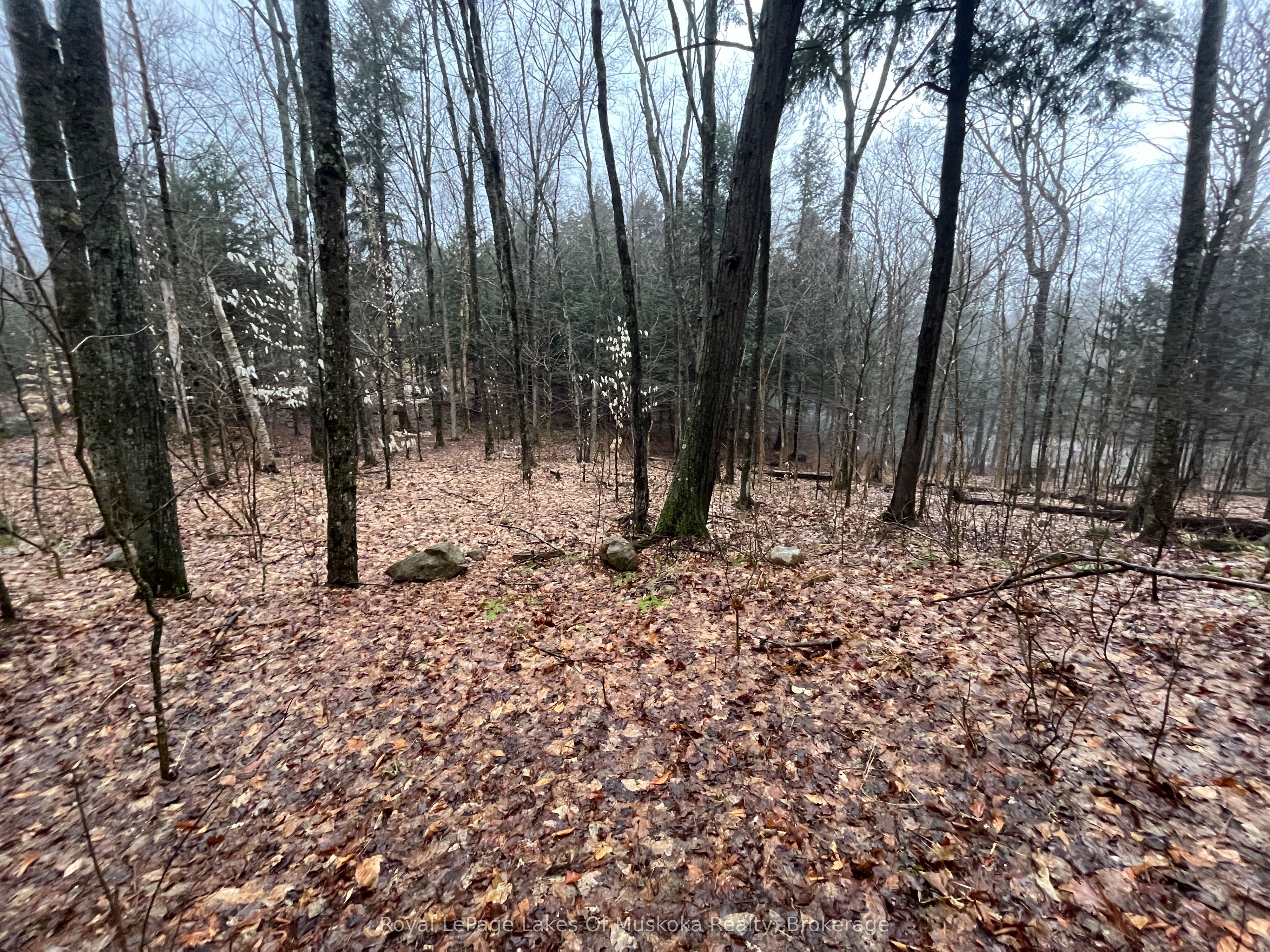 Lot 90 Lookout Point Road Property Photo 5