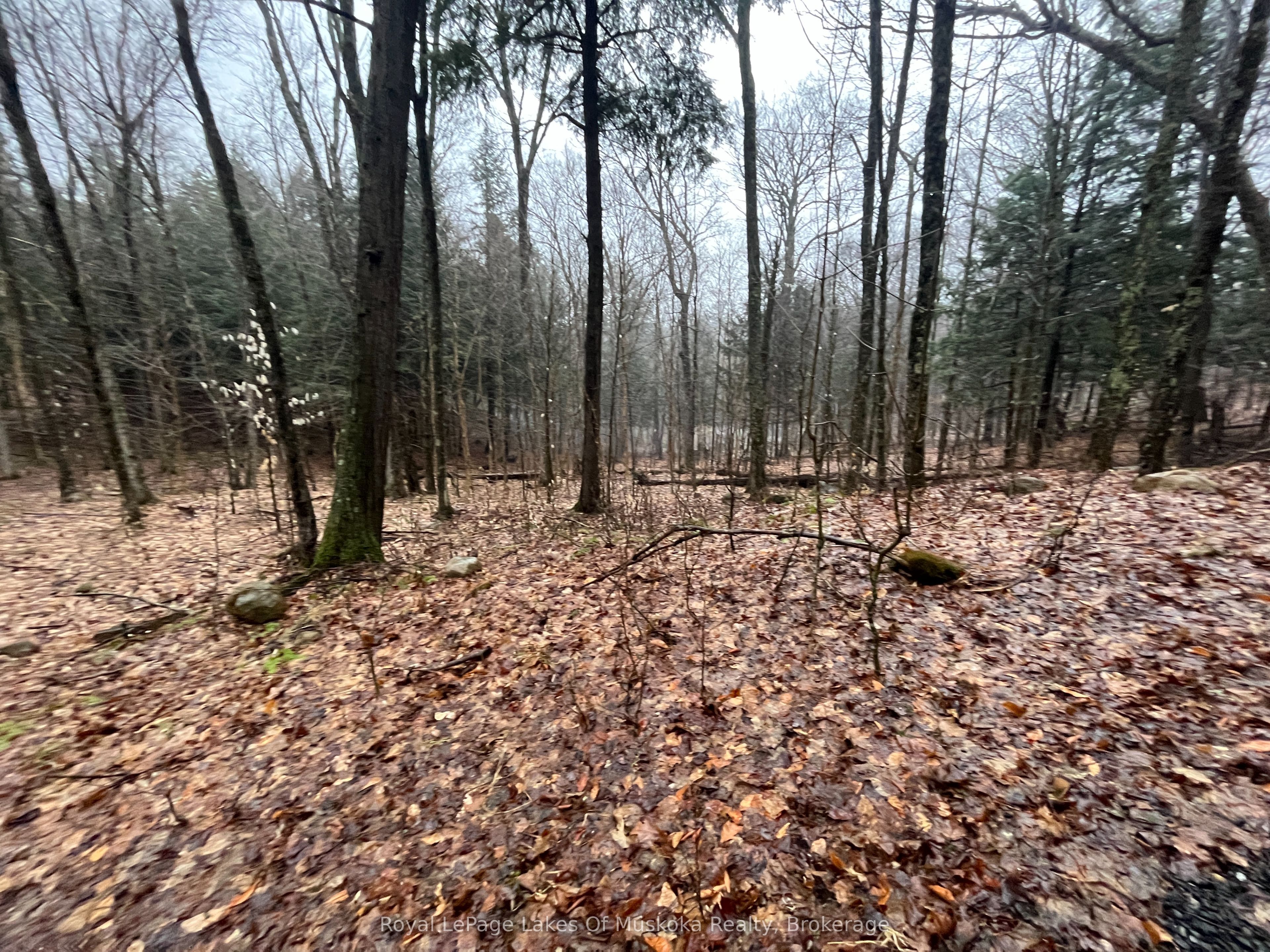 Lot 90 Lookout Point Road Property Photo 6