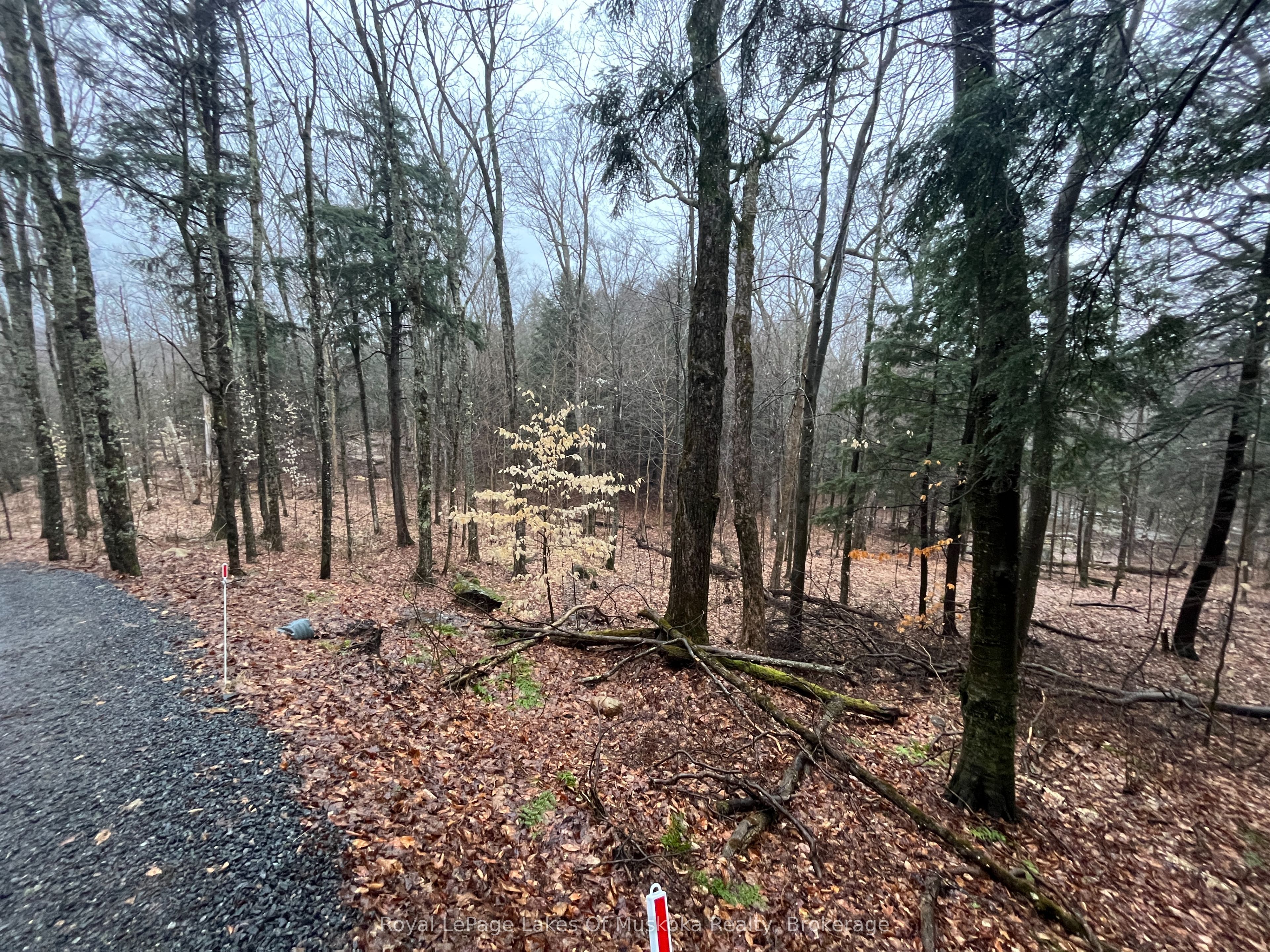 Lot 90 Lookout Point Road Property Photo 7