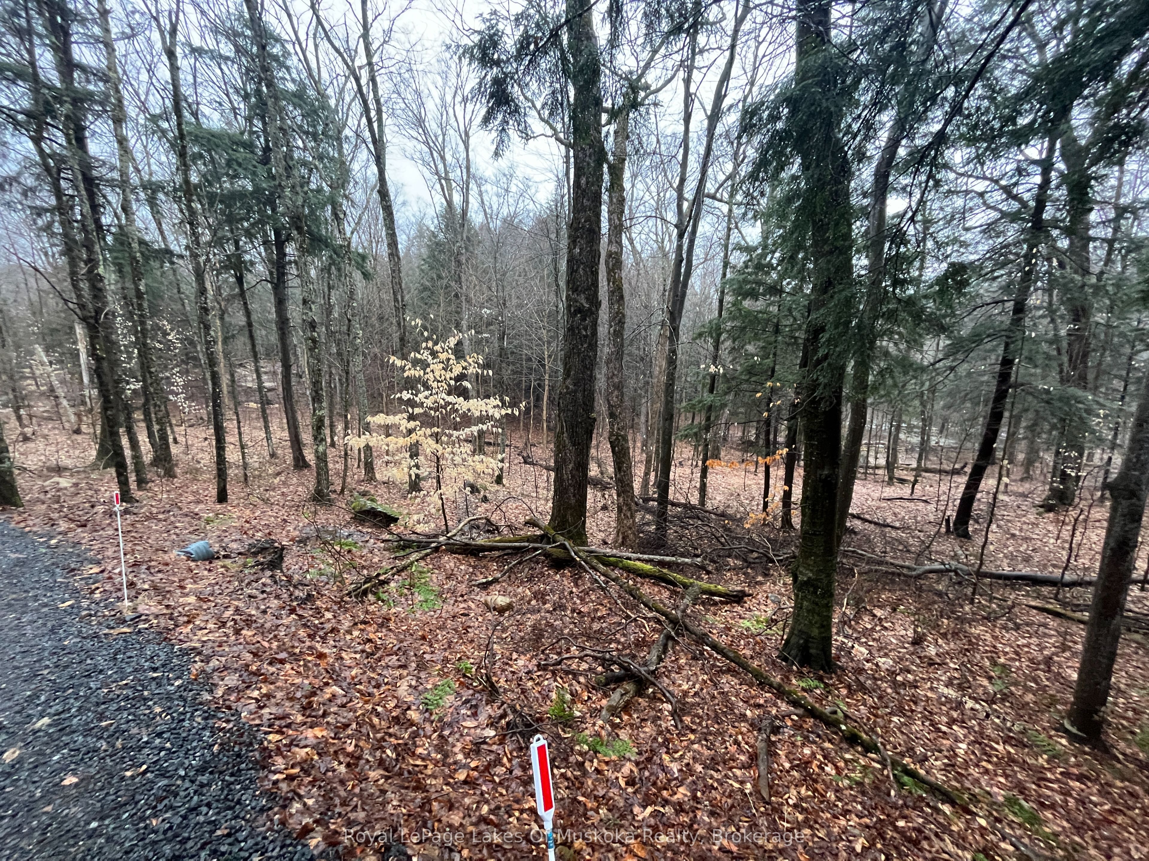 Lot 90 Lookout Point Road Property Photo 8