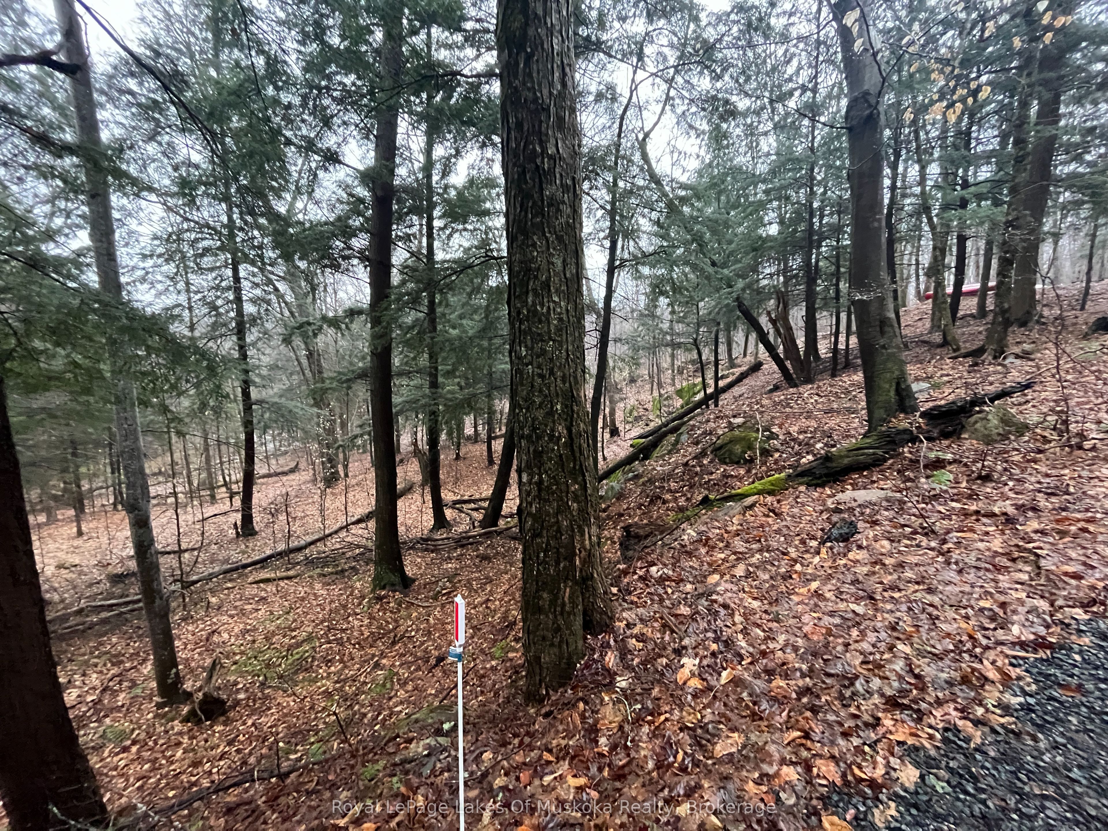 Lot 90 Lookout Point Road Property Photo 9
