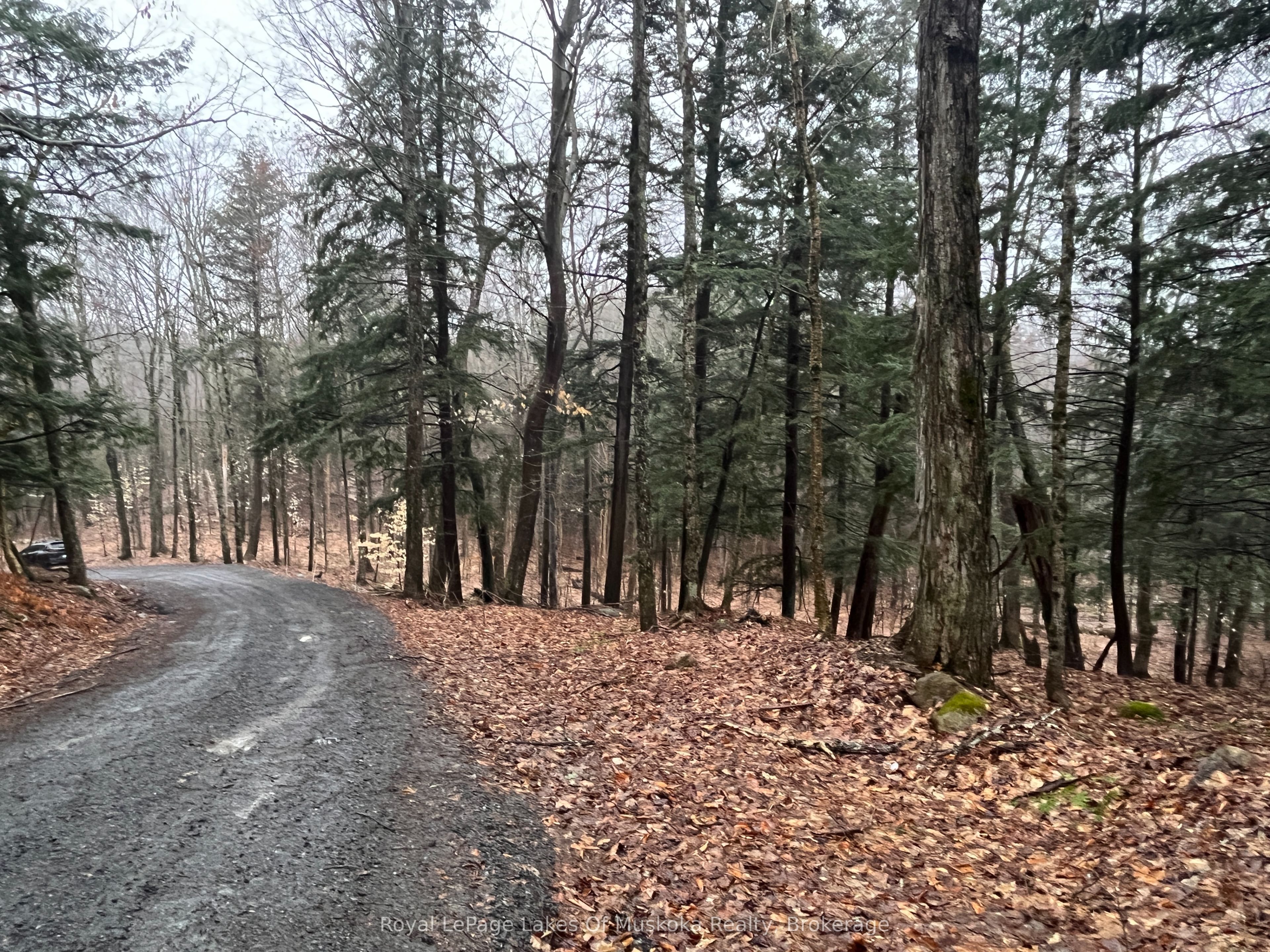 Lot 90 Lookout Point Road Property Photo 10