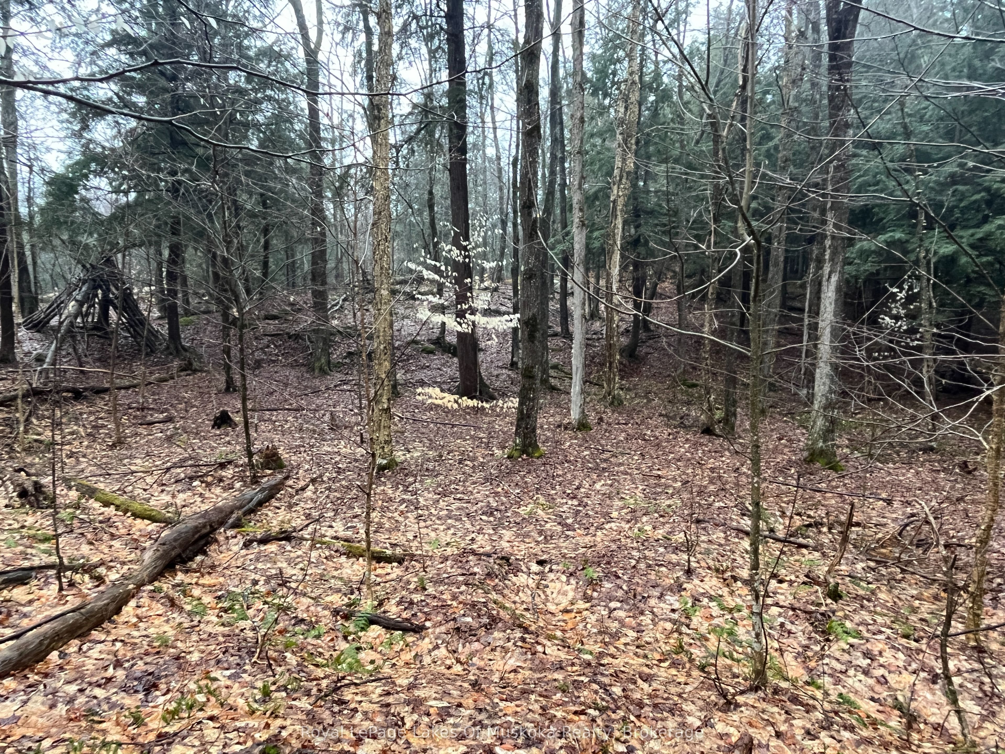 Lot 90 Lookout Point Road Property Photo 11