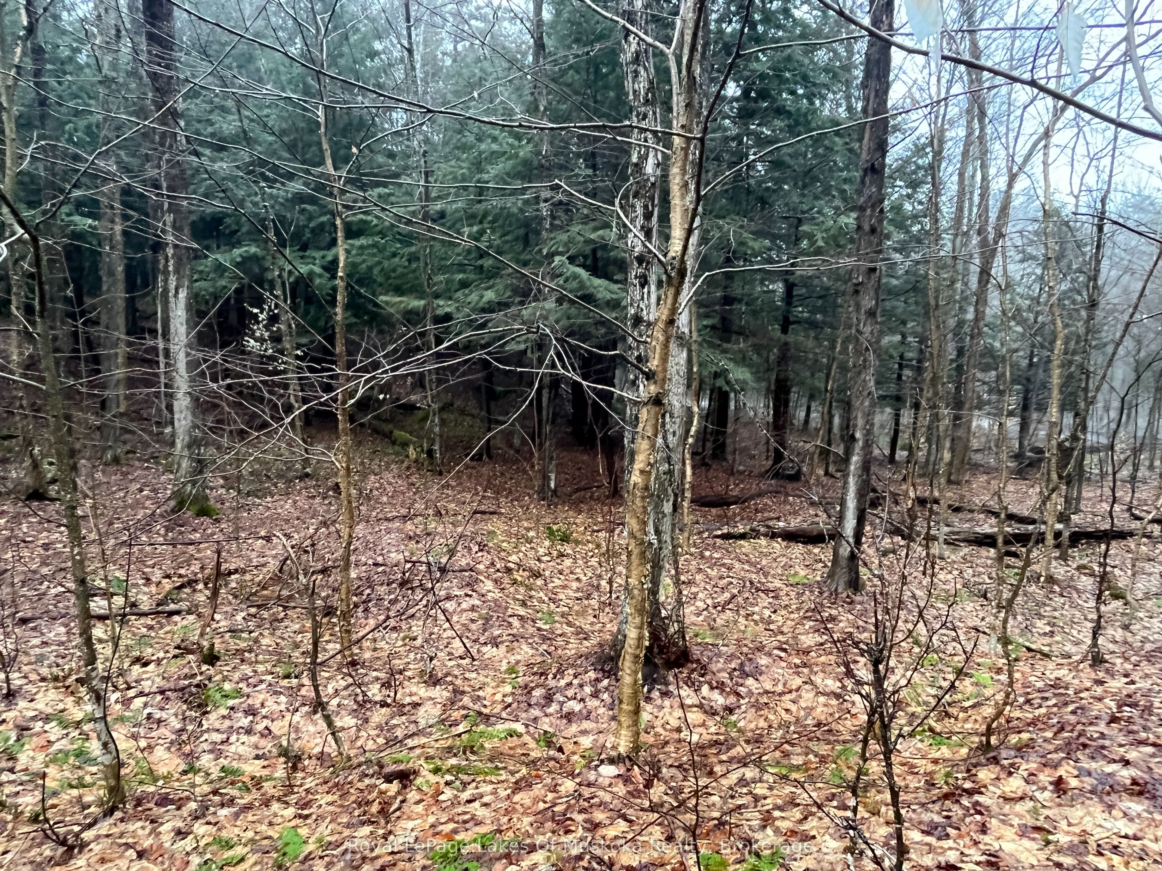 Lot 90 Lookout Point Road Property Photo 12