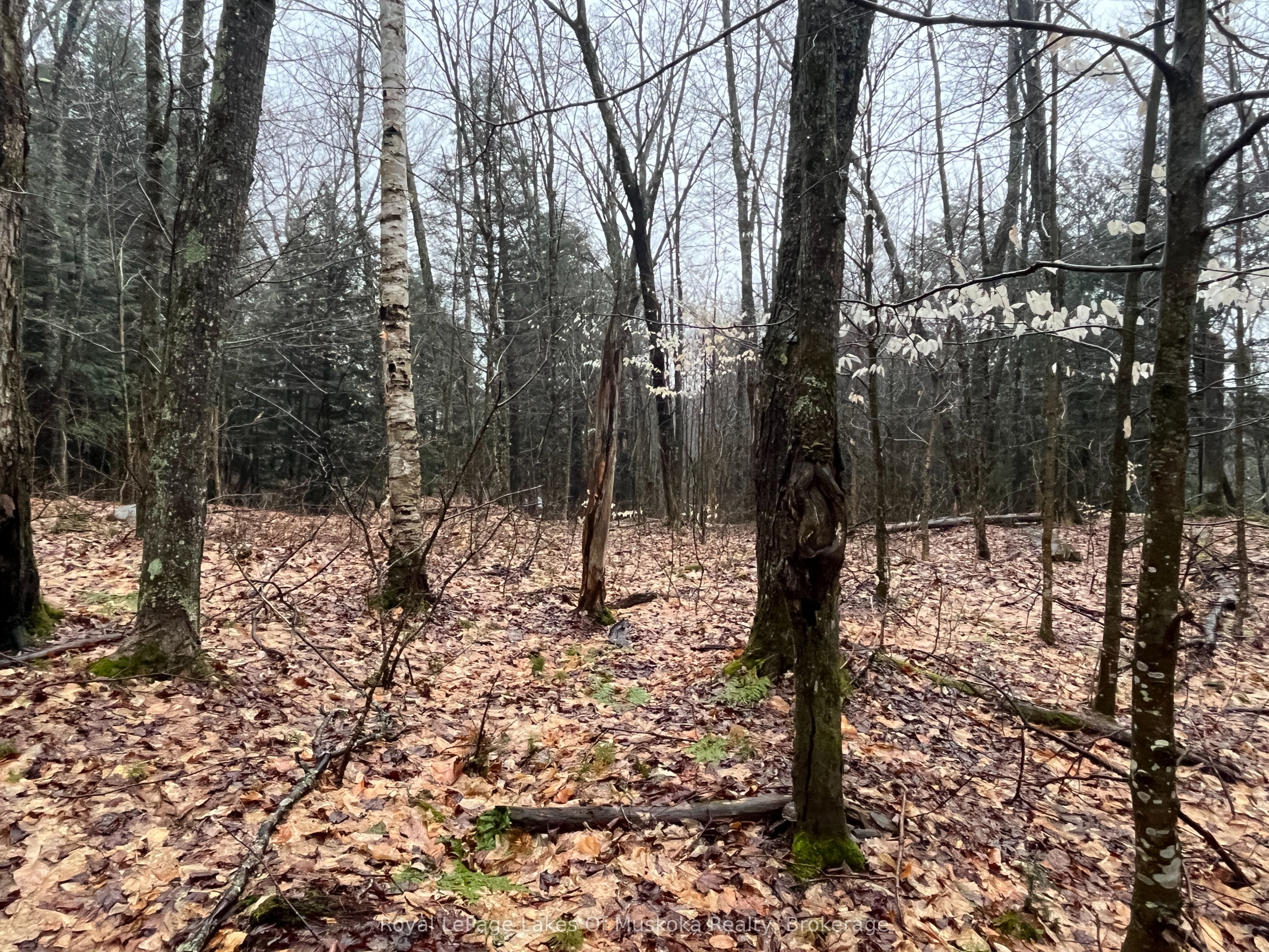Lot 90 Lookout Point Road Property Photo 13